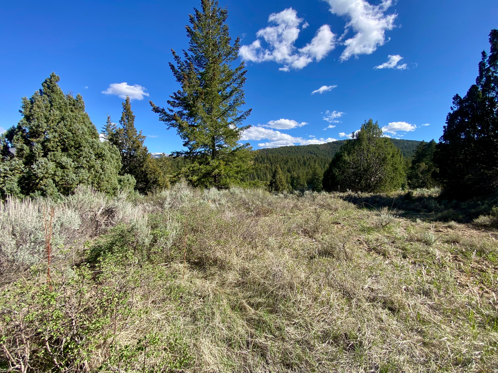 LAVA RANCH PHASE 5 - Land