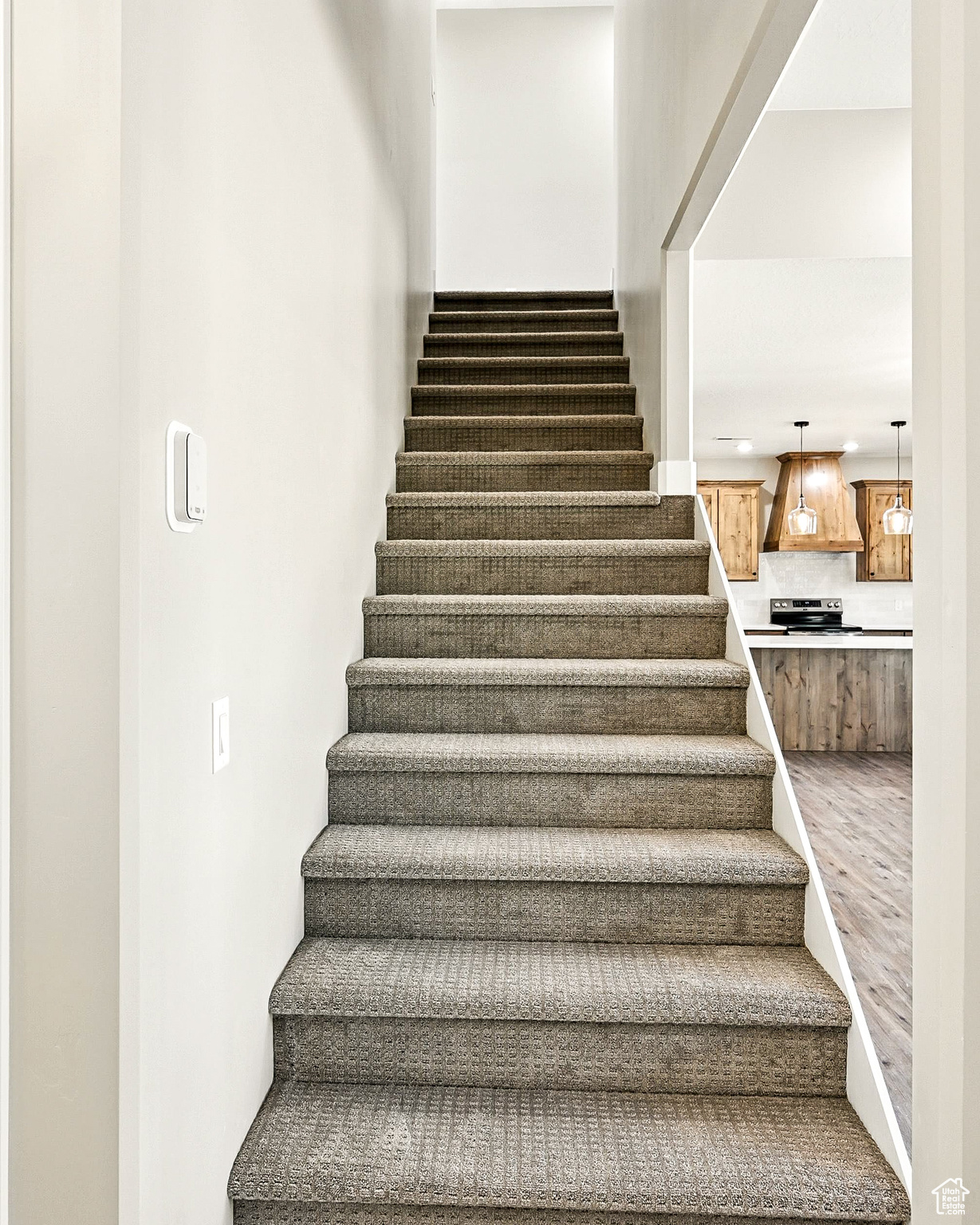 SADDLEBACK RIDGE - Residential