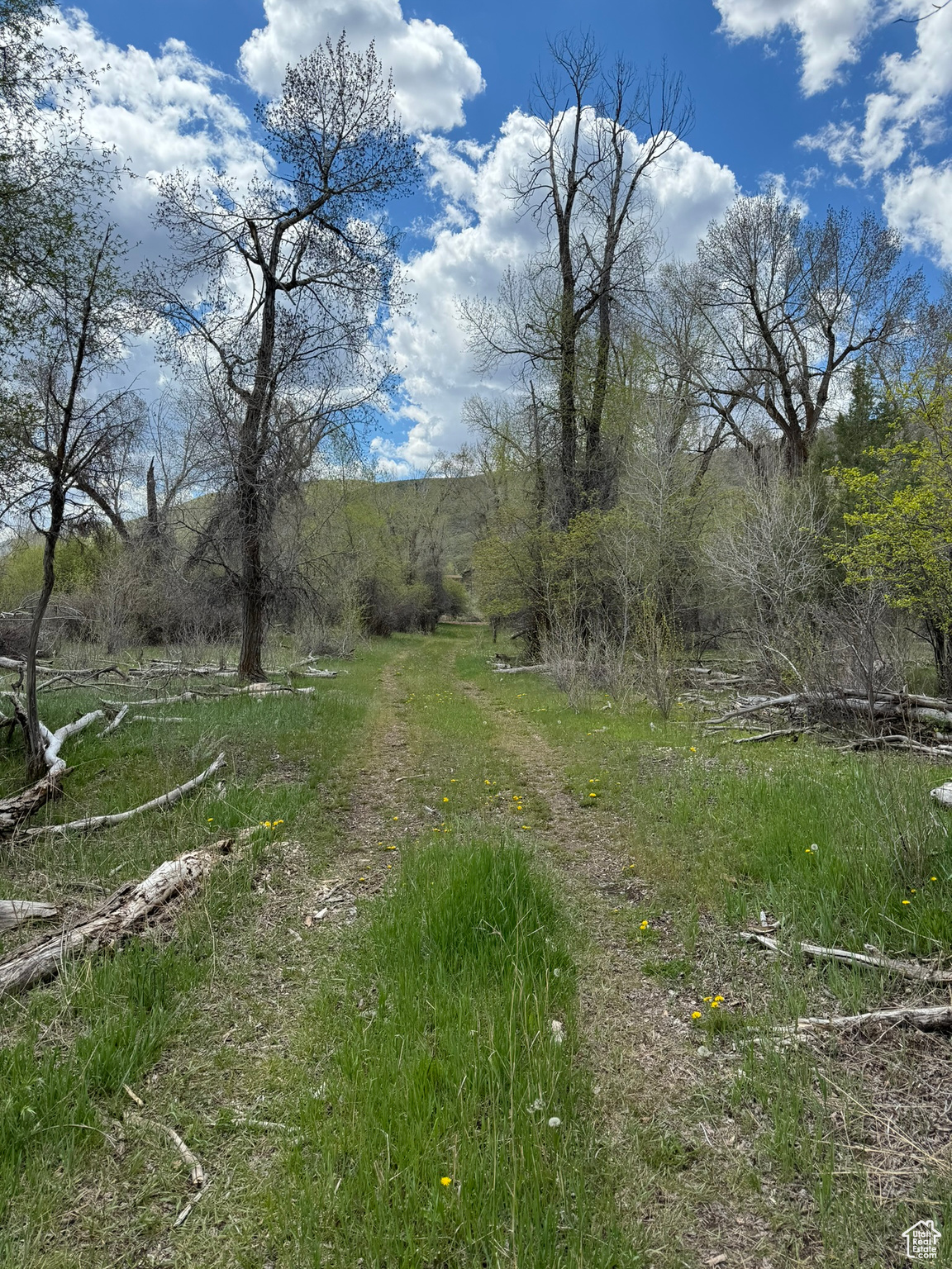 S Echo Frontage Rd, Henefer, Utah image 13