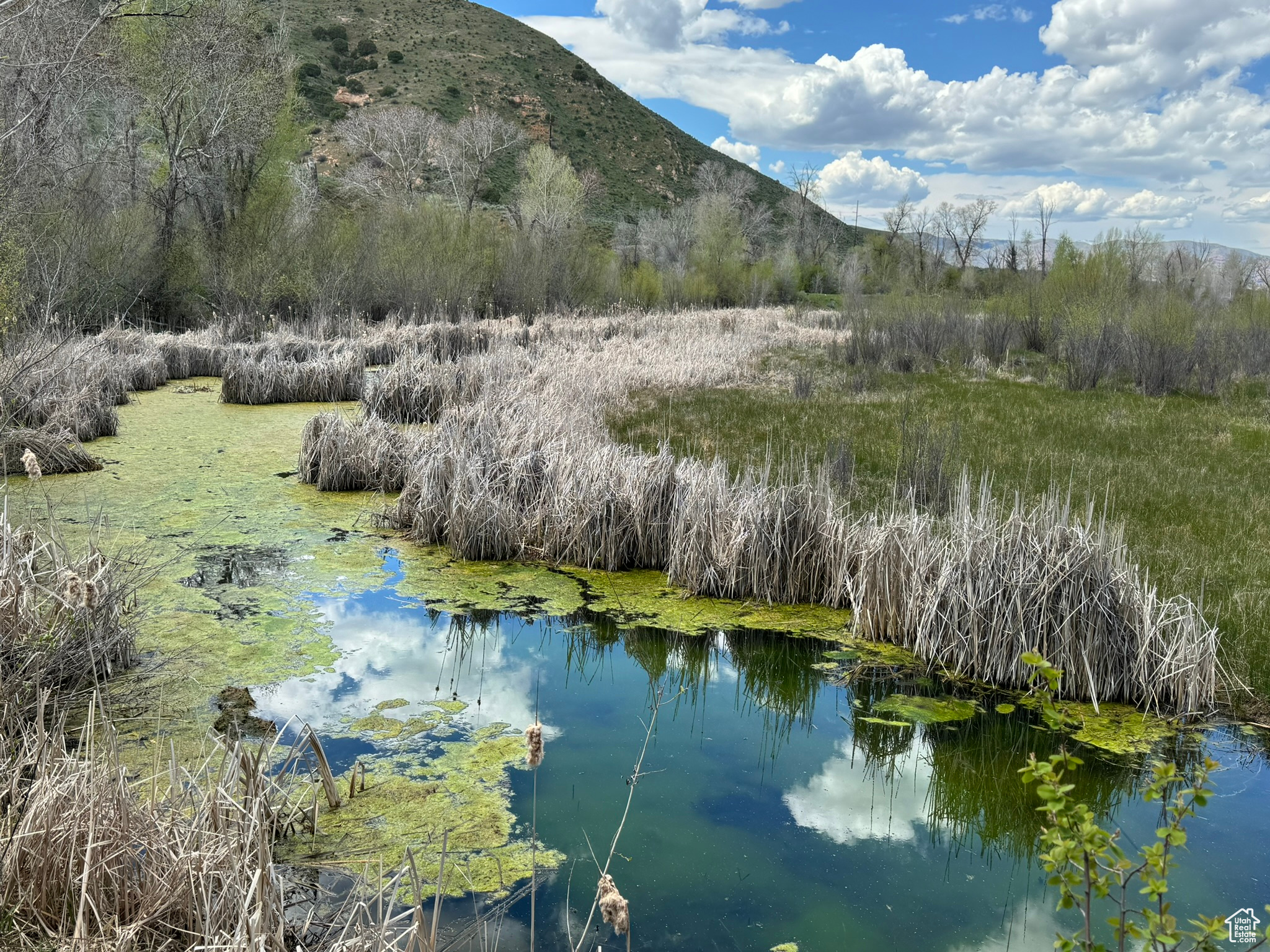 S Echo Frontage Rd, Henefer, Utah image 30
