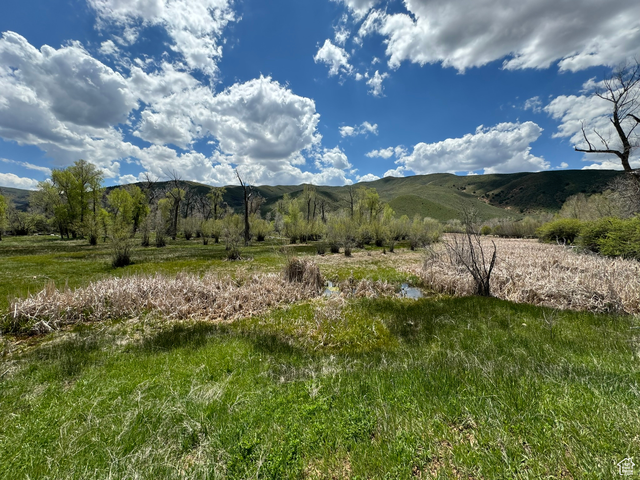 S Echo Frontage Rd, Henefer, Utah image 24