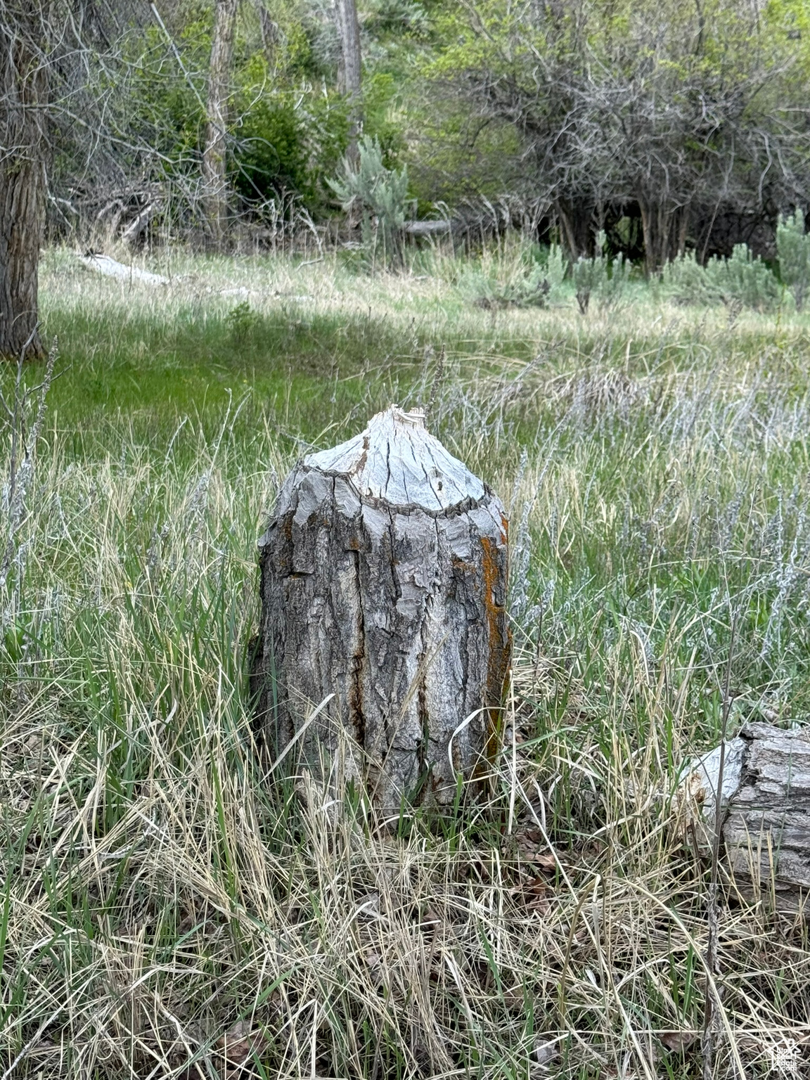 S Echo Frontage Rd, Henefer, Utah image 18