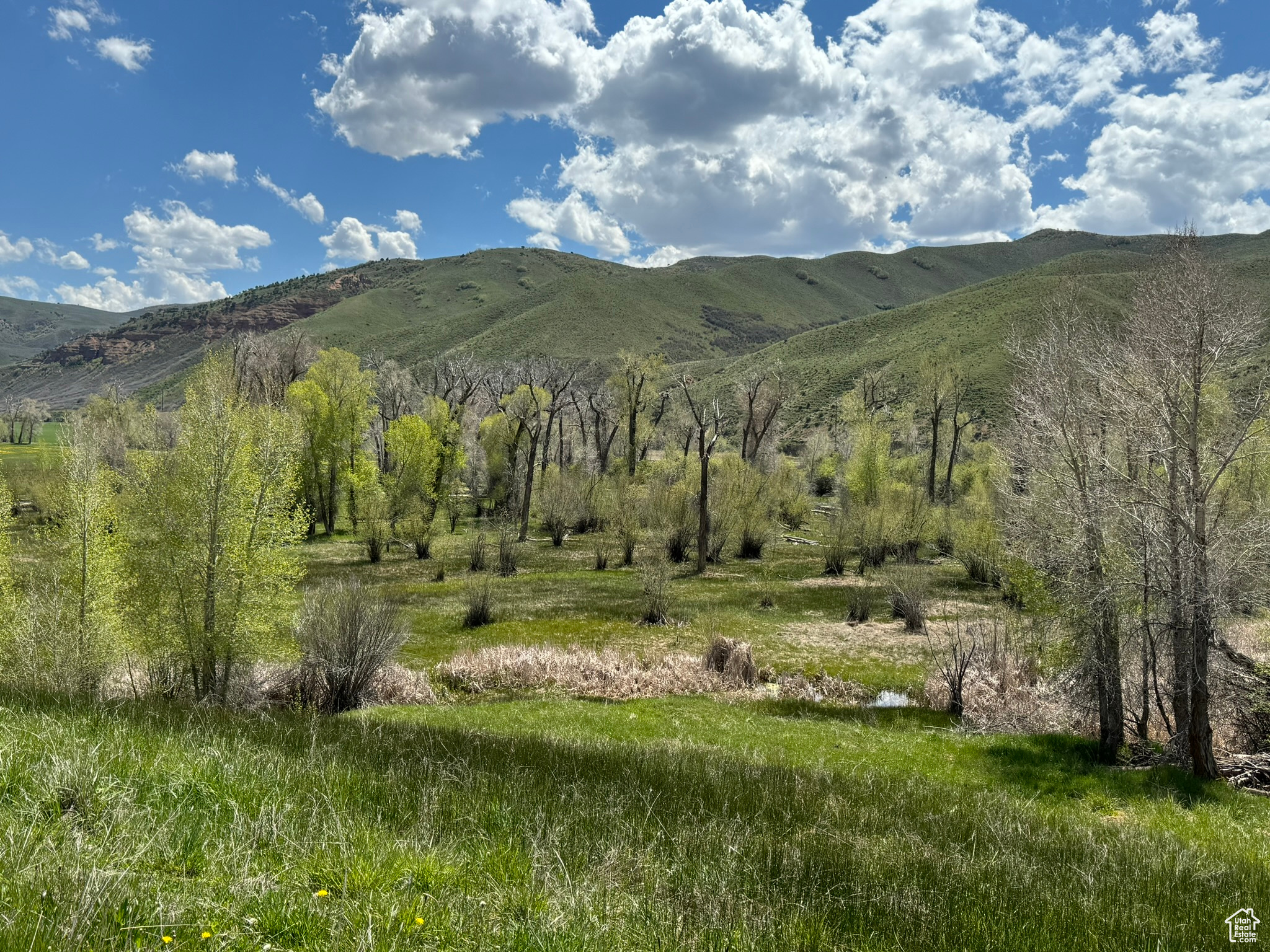 S Echo Frontage Rd, Henefer, Utah image 38