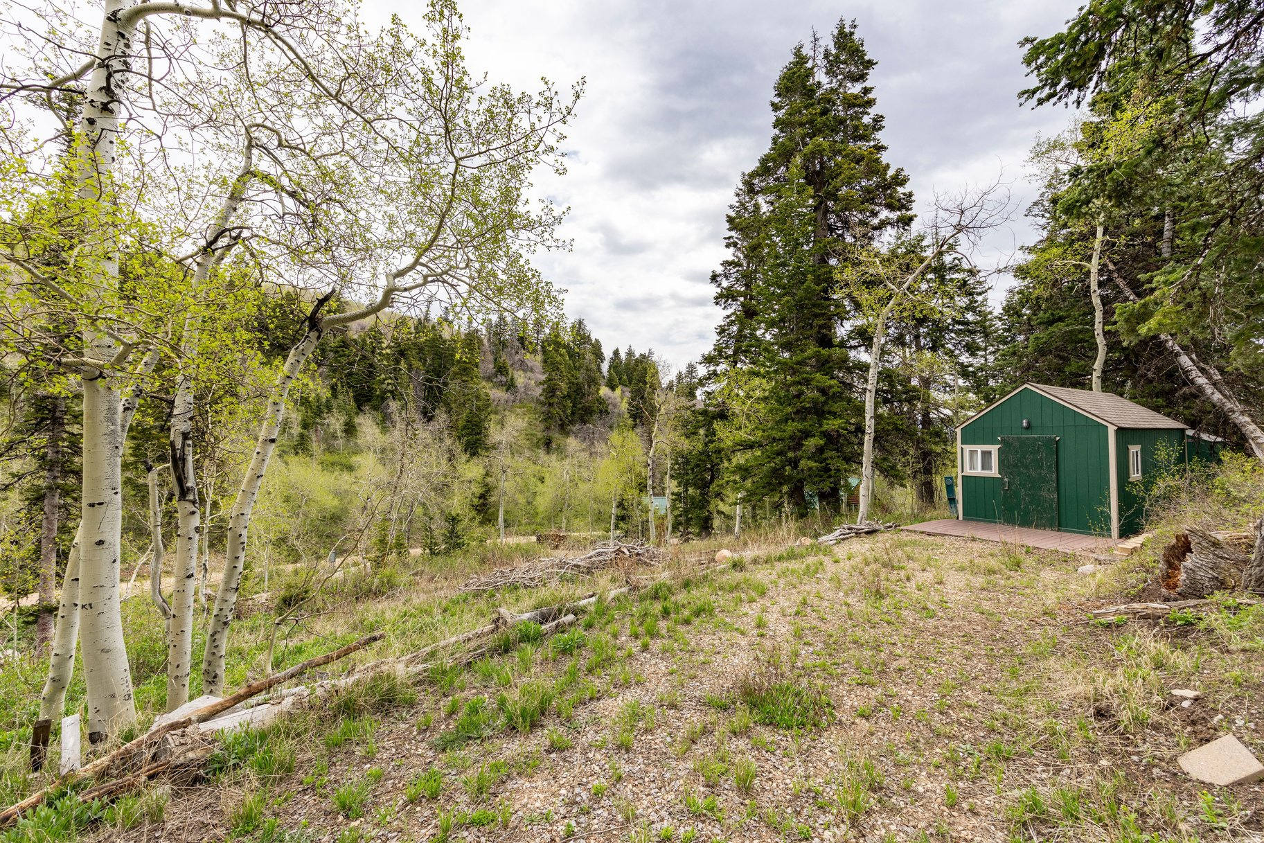 PINE MEADOW RANCH - Land