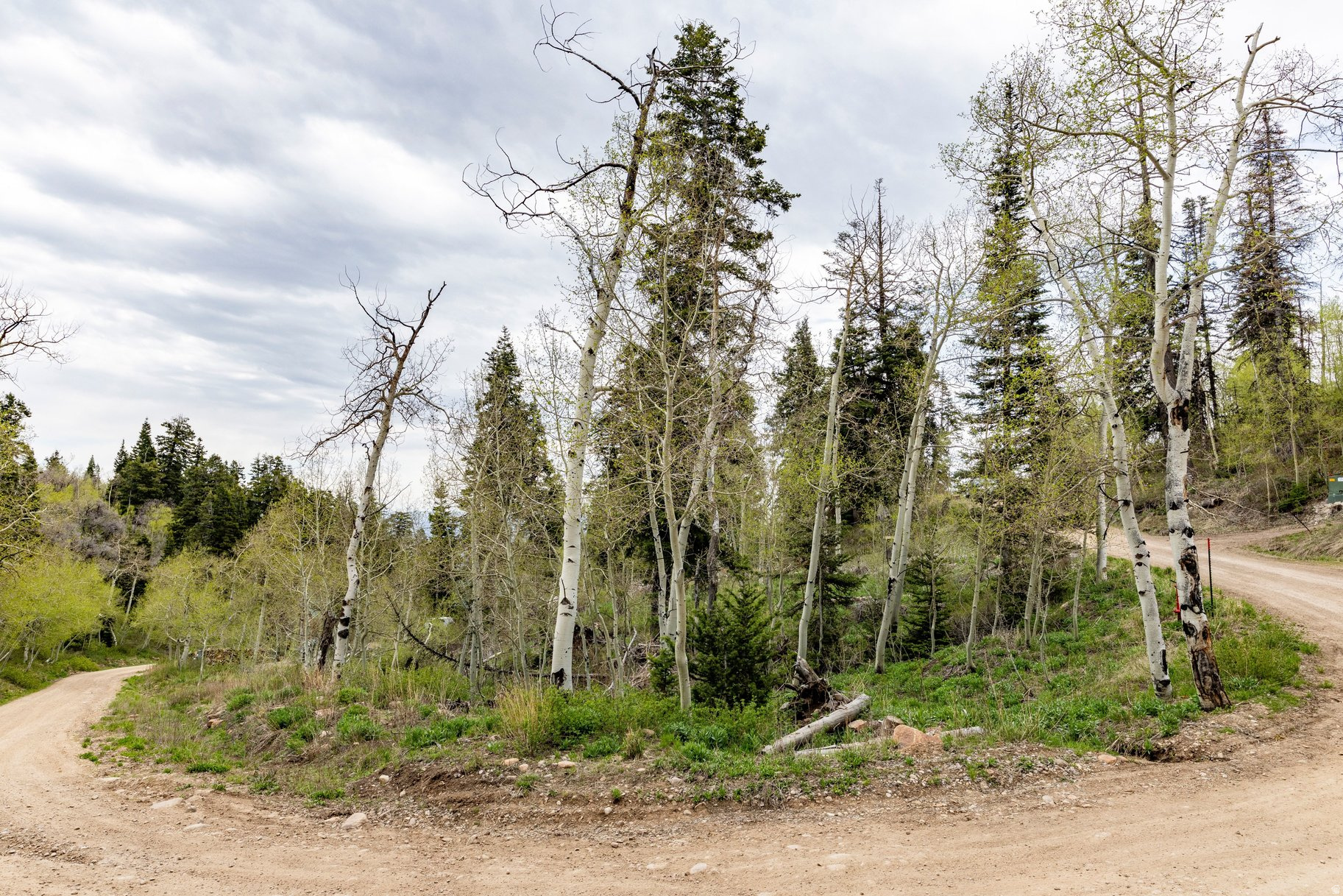 PINE MEADOW RANCH - Land