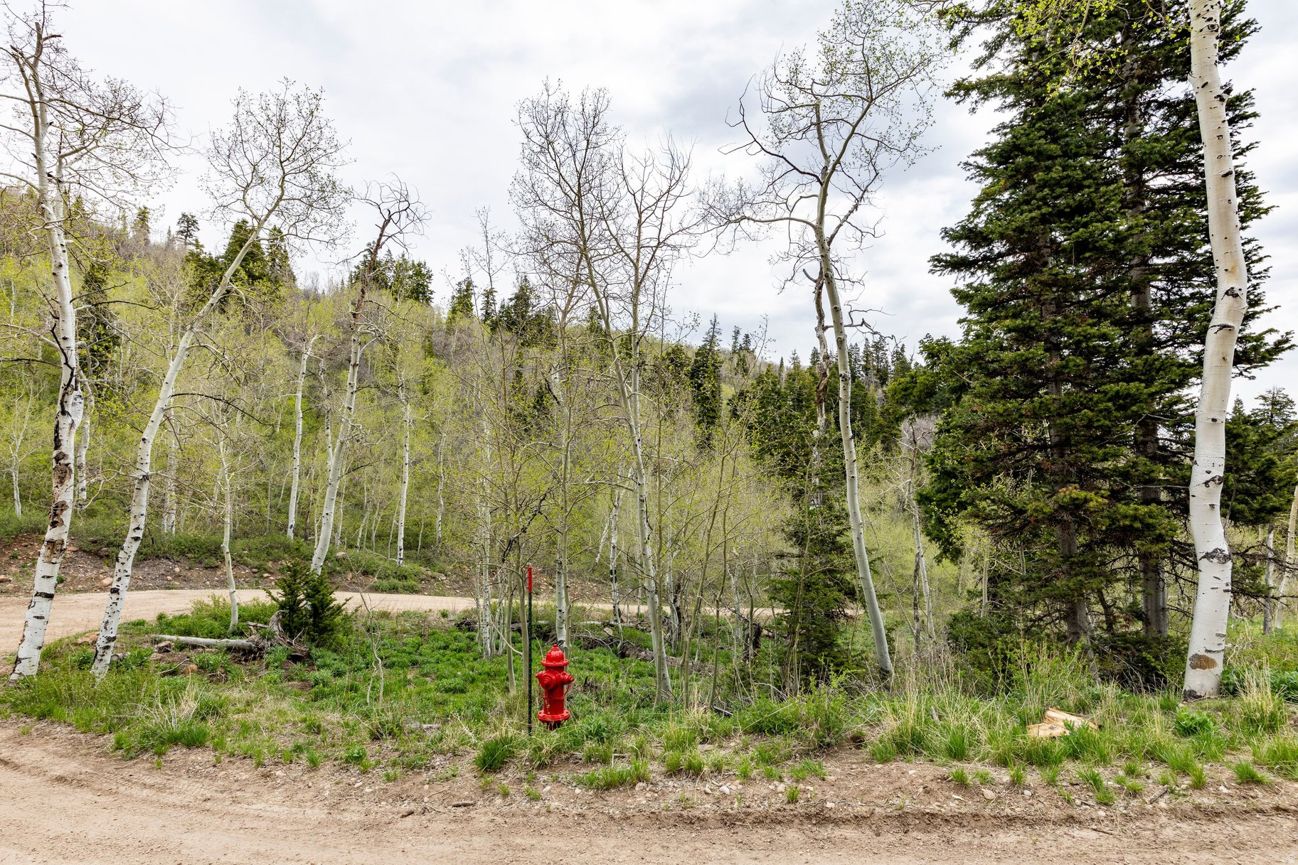 PINE MEADOW RANCH - Land