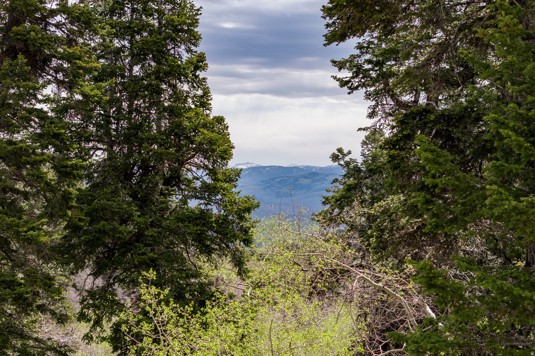 PINE MEADOW RANCH - Land