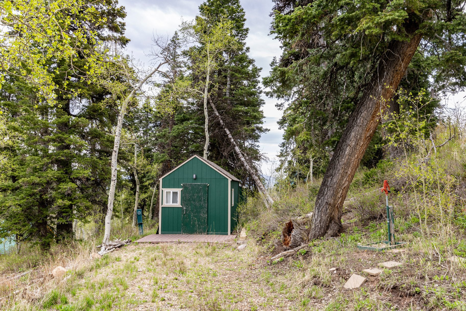 PINE MEADOW RANCH - Land