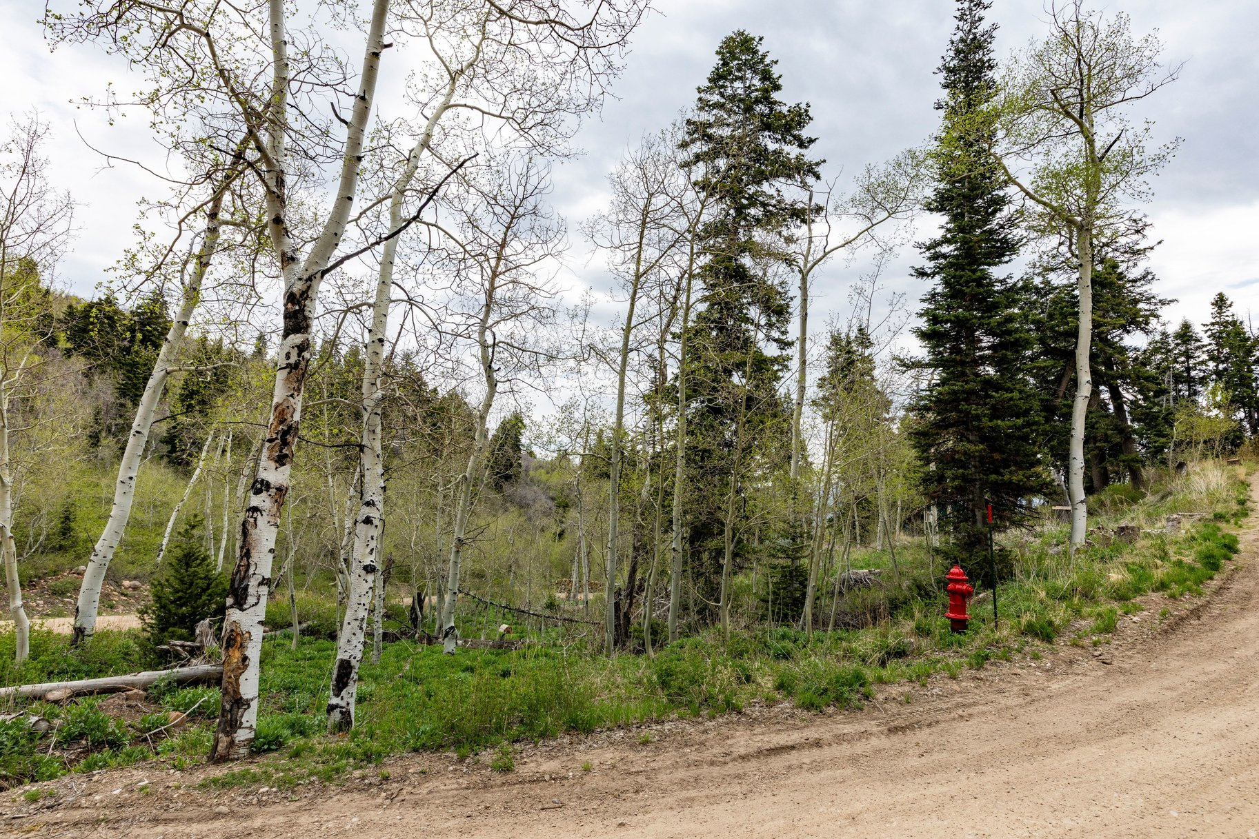 PINE MEADOW RANCH - Land