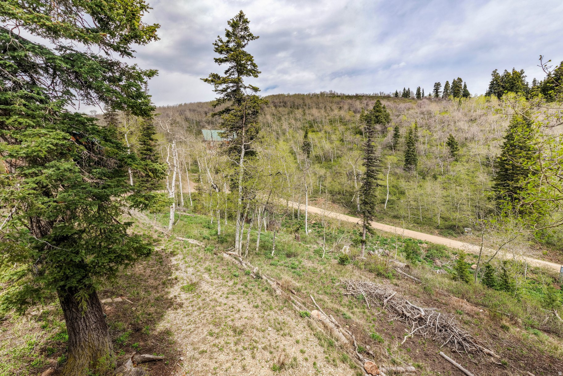 PINE MEADOW RANCH - Land