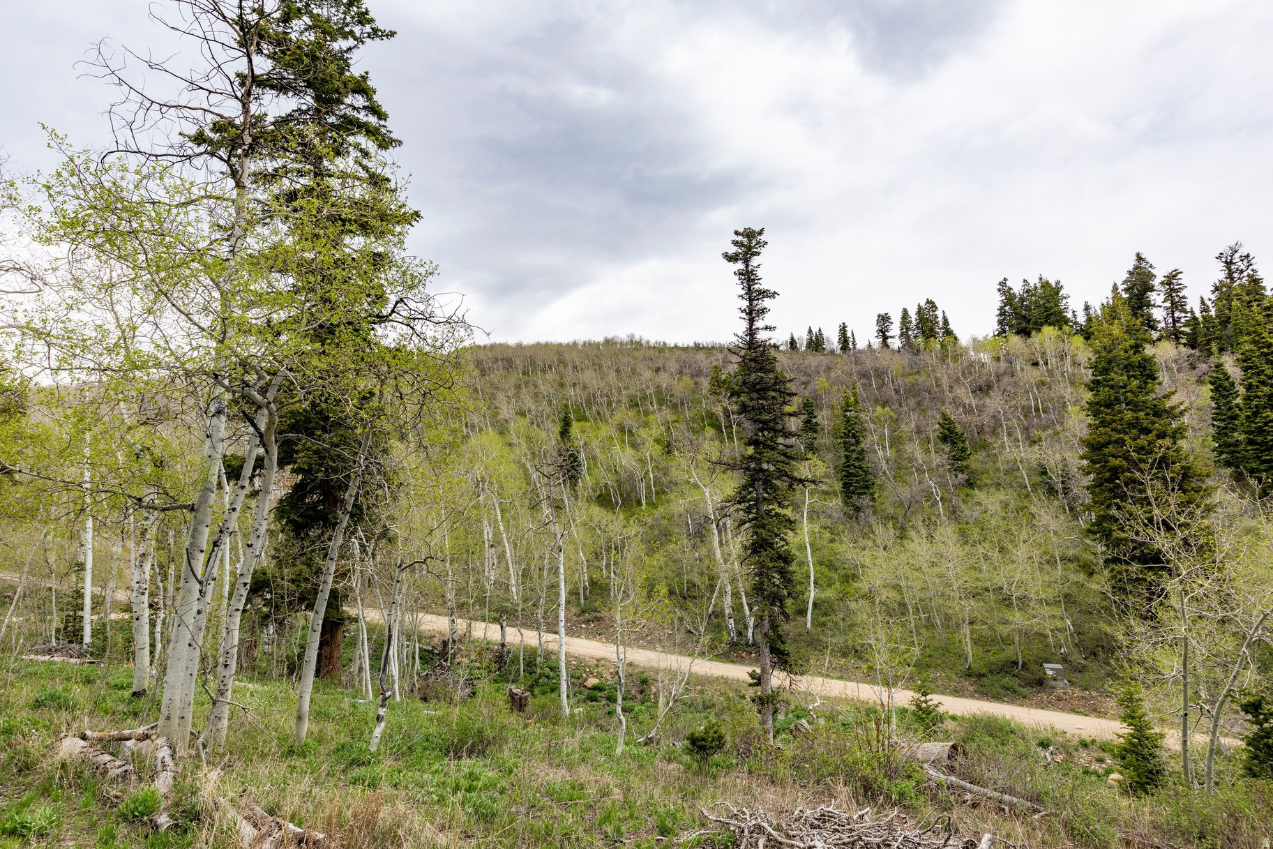 PINE MEADOW RANCH - Land
