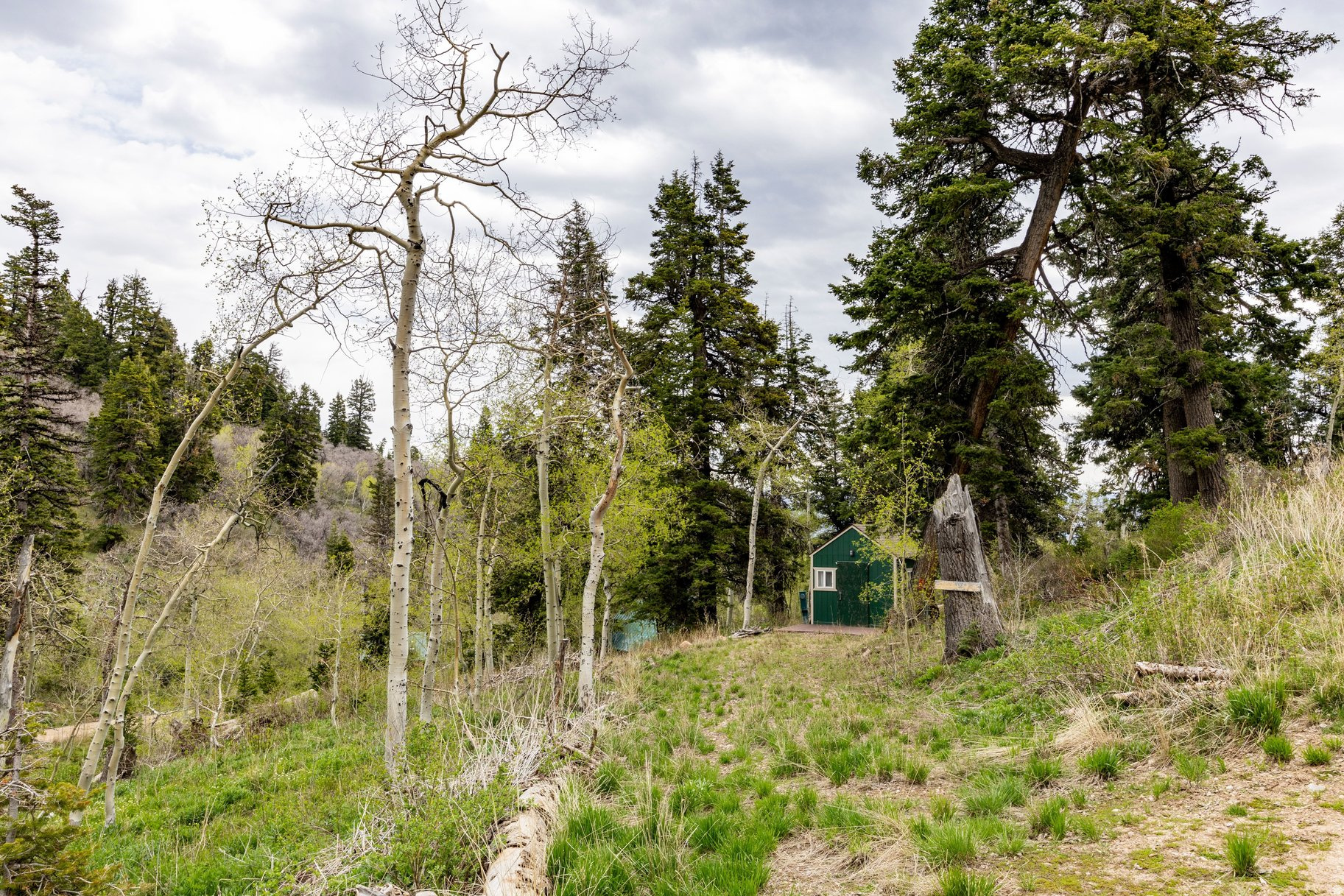 PINE MEADOW RANCH - Land