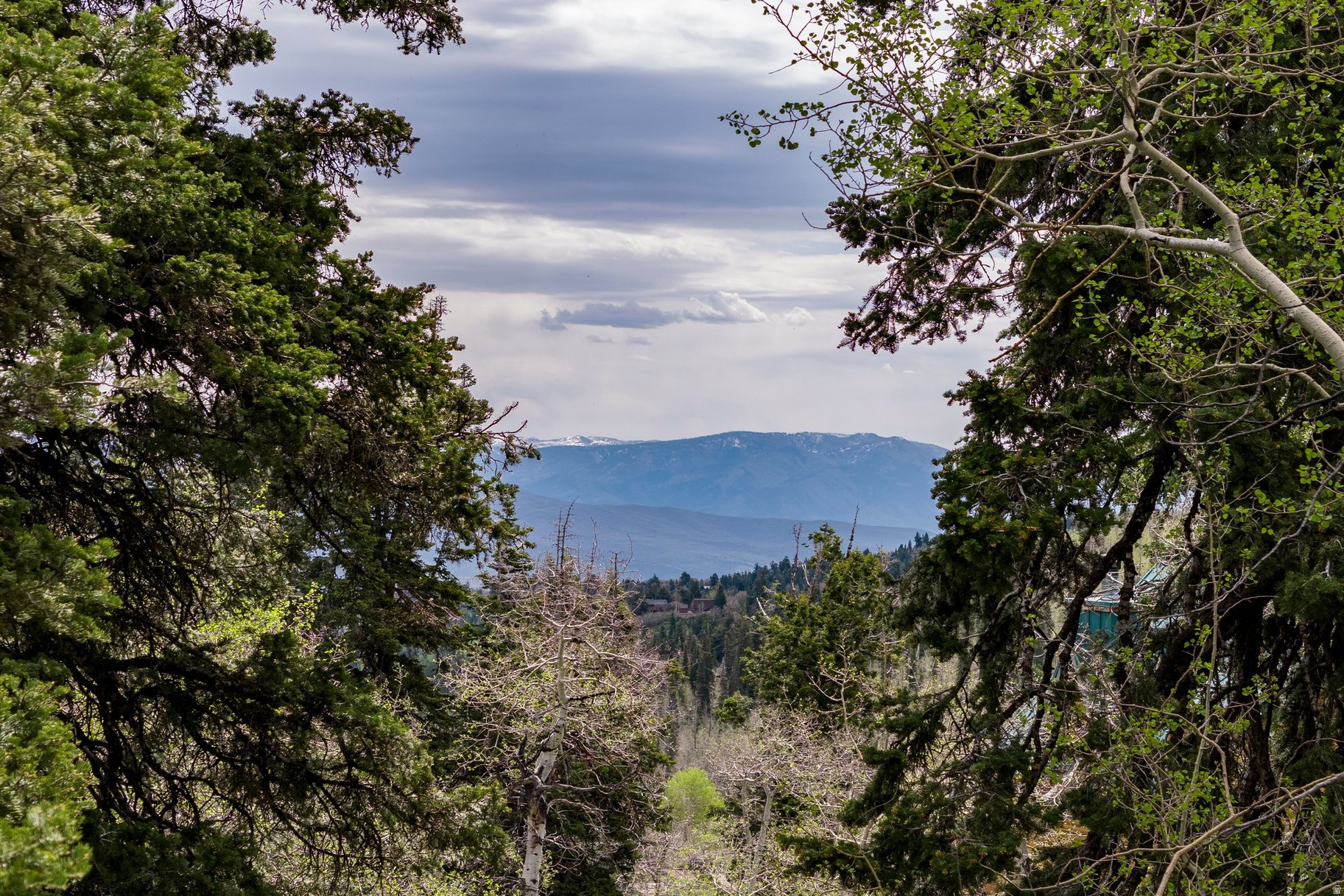 PINE MEADOW RANCH - Land