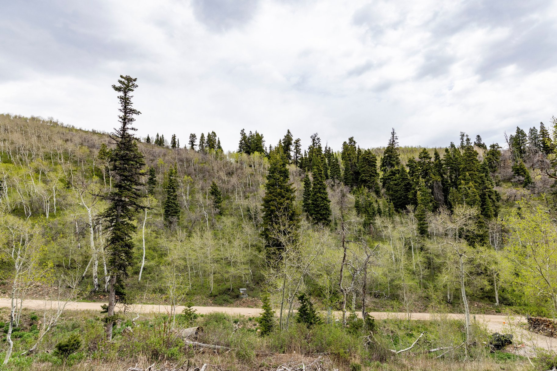 PINE MEADOW RANCH - Land