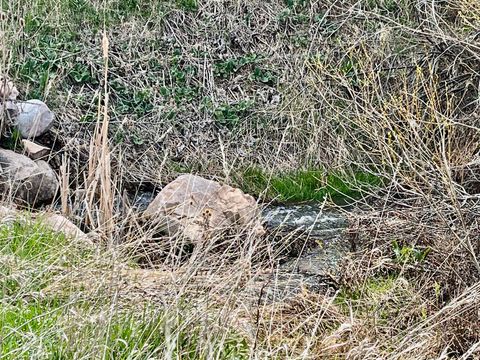 Tiny photo for 3615 N WOLF LODGE #1206 Dr, Eden, UT 84310 (MLS # 2152450)