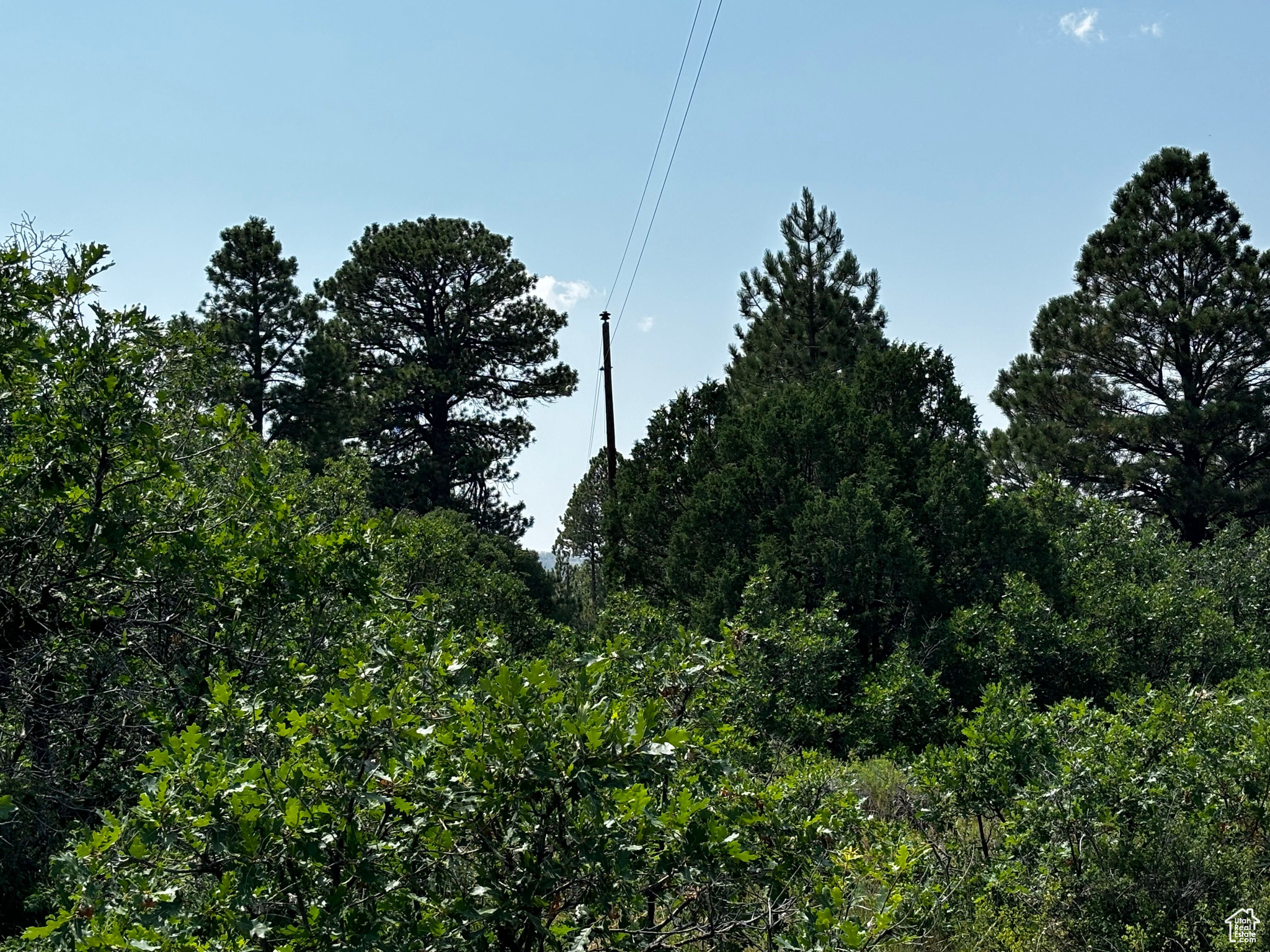 205 Beaver Creek Overlook, Moab, Utah image 7