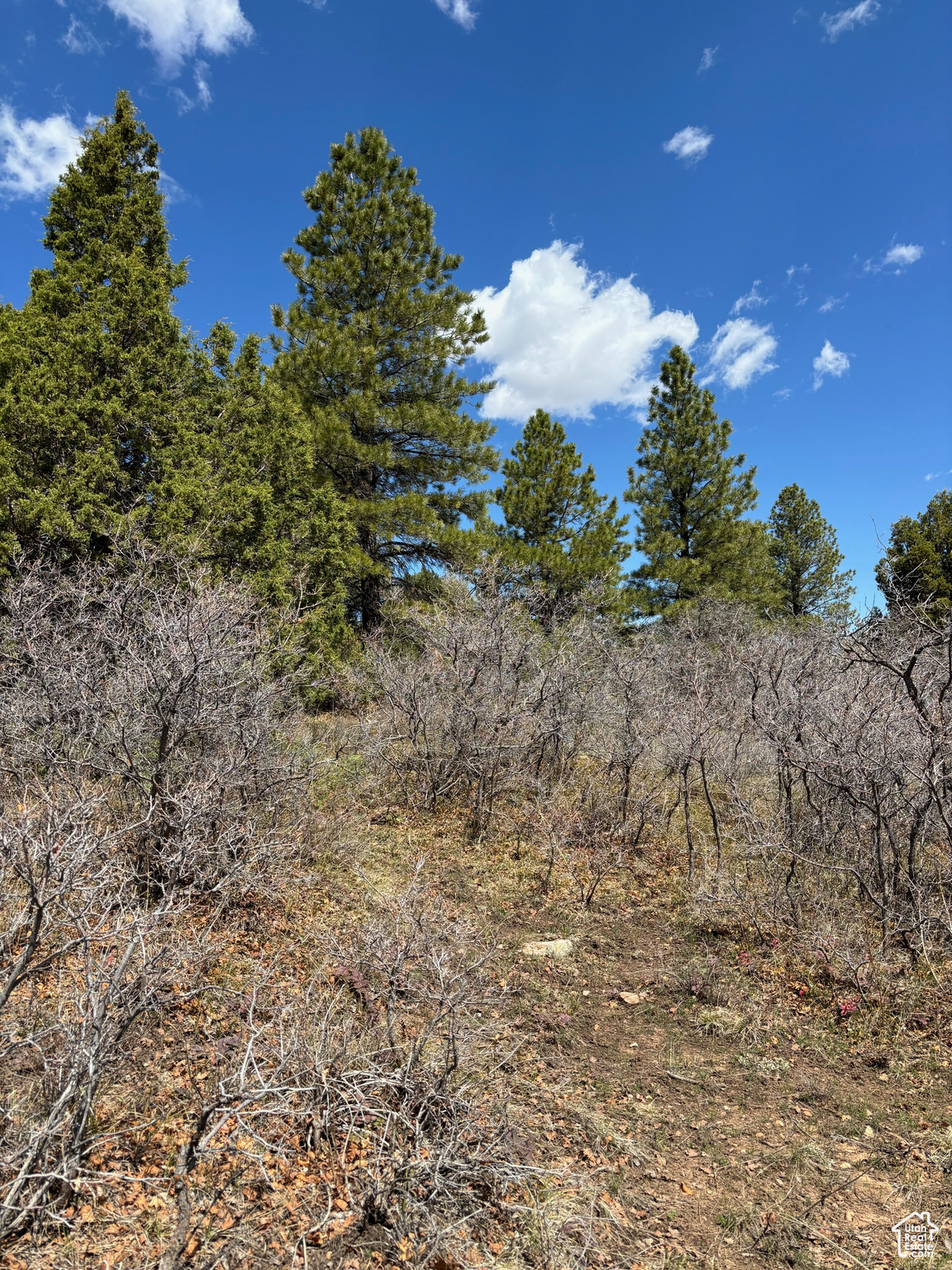 205 Beaver Creek Overlook, Moab, Utah image 17