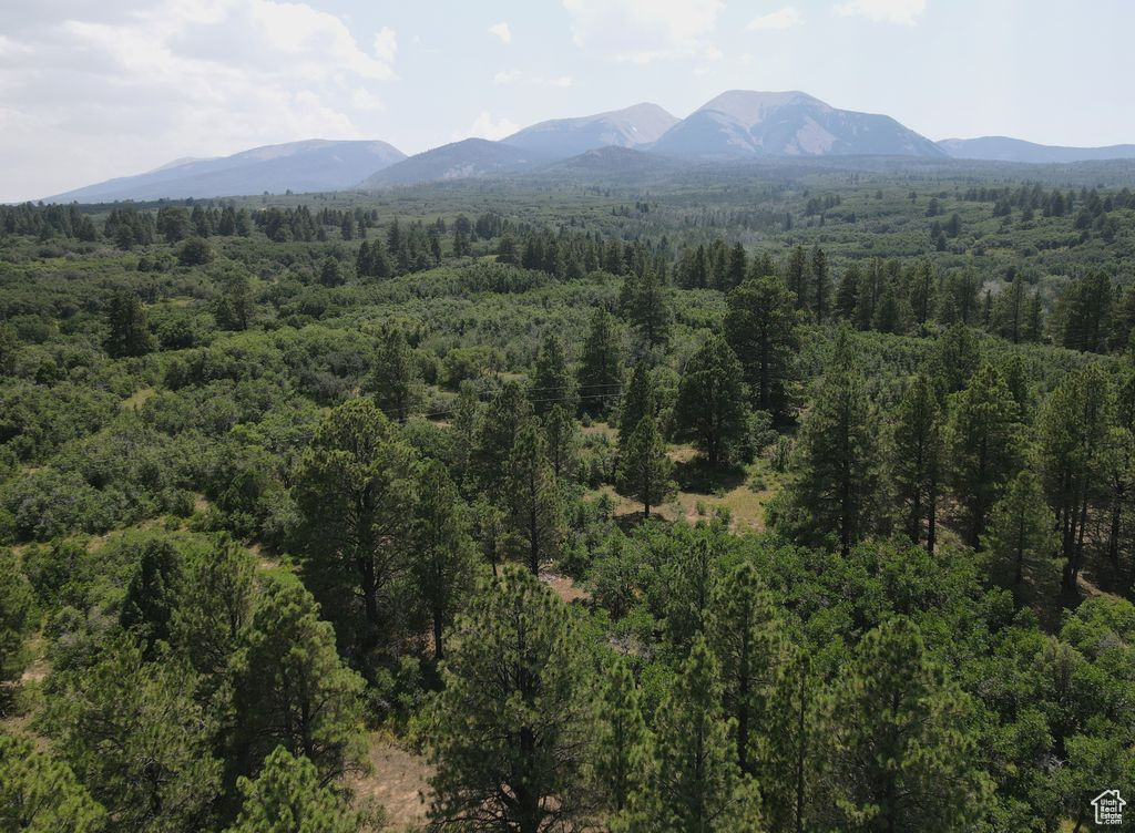 205 Beaver Creek Overlook, Moab, Utah image 1