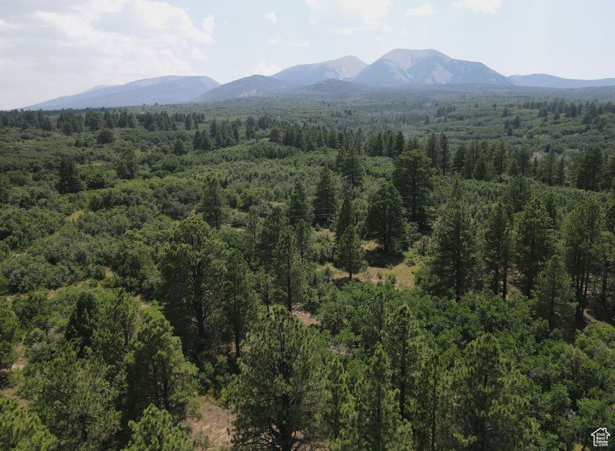 The good life awaits at 8200 feet in the cool mountain air. Create your hideaway here, near Don's Lake and Hidden Lake on the north side of the LaSal Mountains.  Multiple home sites amid the pines and quakies. The lot has access to power.  A well and septic system have yet to be installed. Varied terrain to explore to your heart's content. Be it by horseback, bicycle, ATV or your own feet.  Access the land via County Rd 85.   All information to be verified by the buyer.