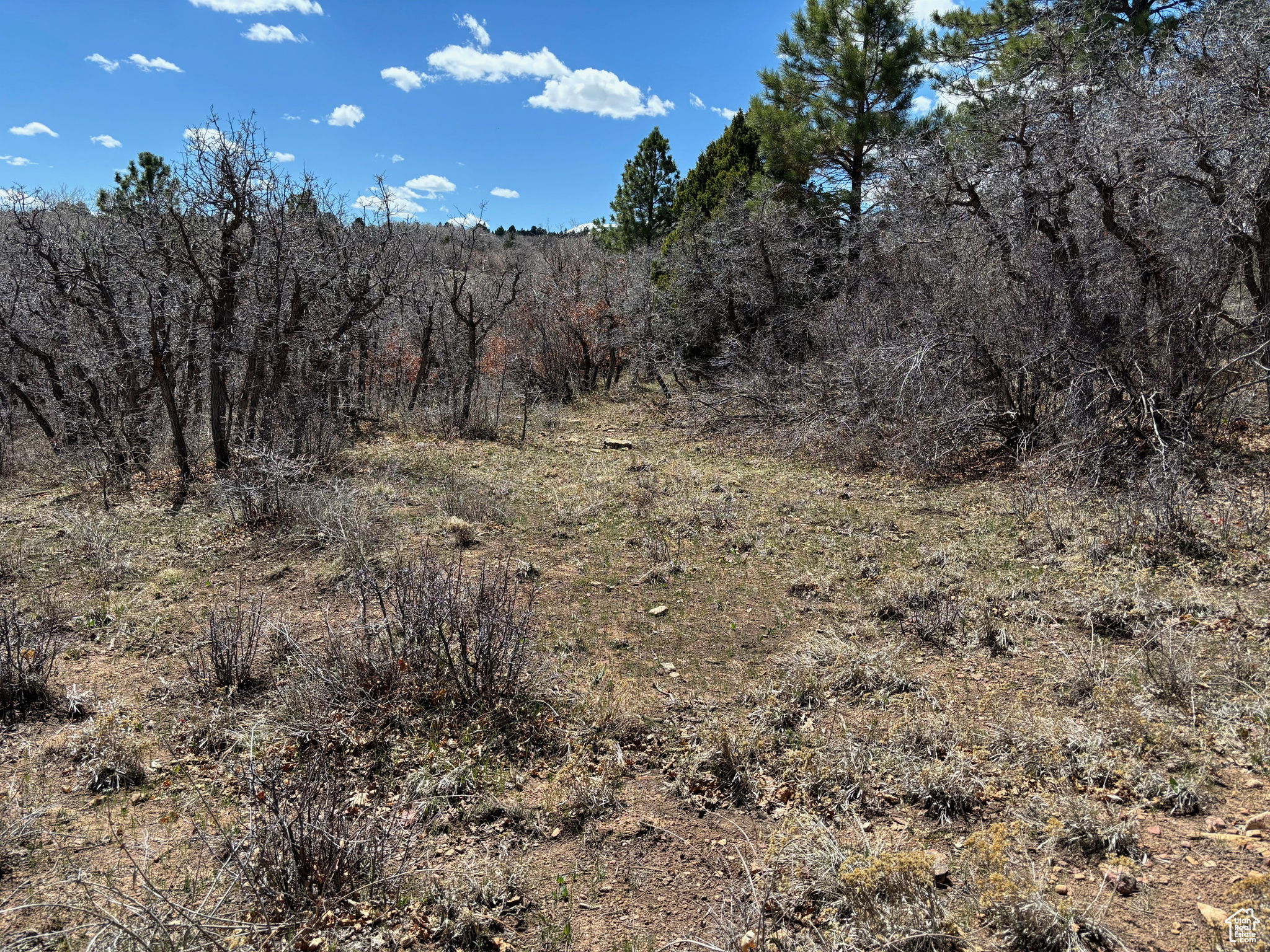 205 Beaver Creek Overlook, Moab, Utah image 15