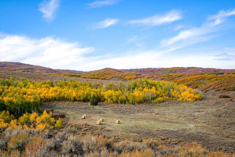 Tiny photo for 6569 E MOON LIGHT DR #157, Heber City, UT 84032 (MLS # 2180265)