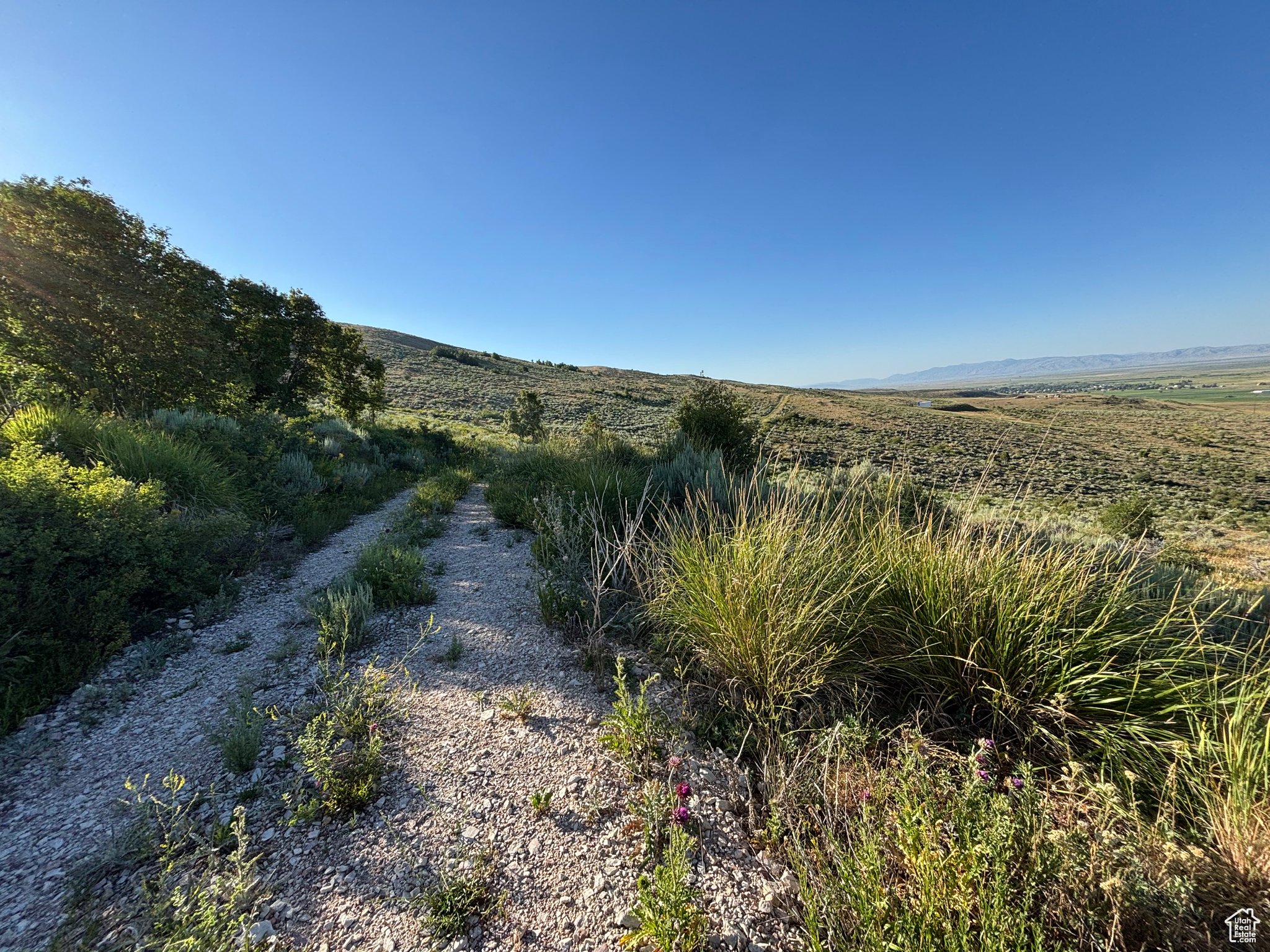 BEAR LAKE RANCHES - Land