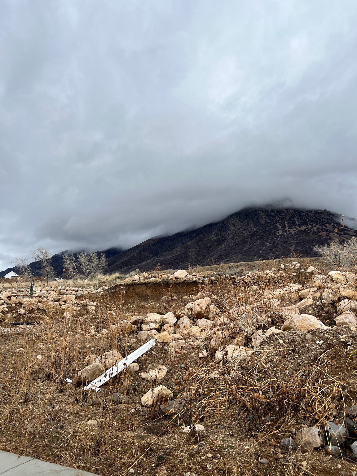 NORTHVIEW ESTATES - Land