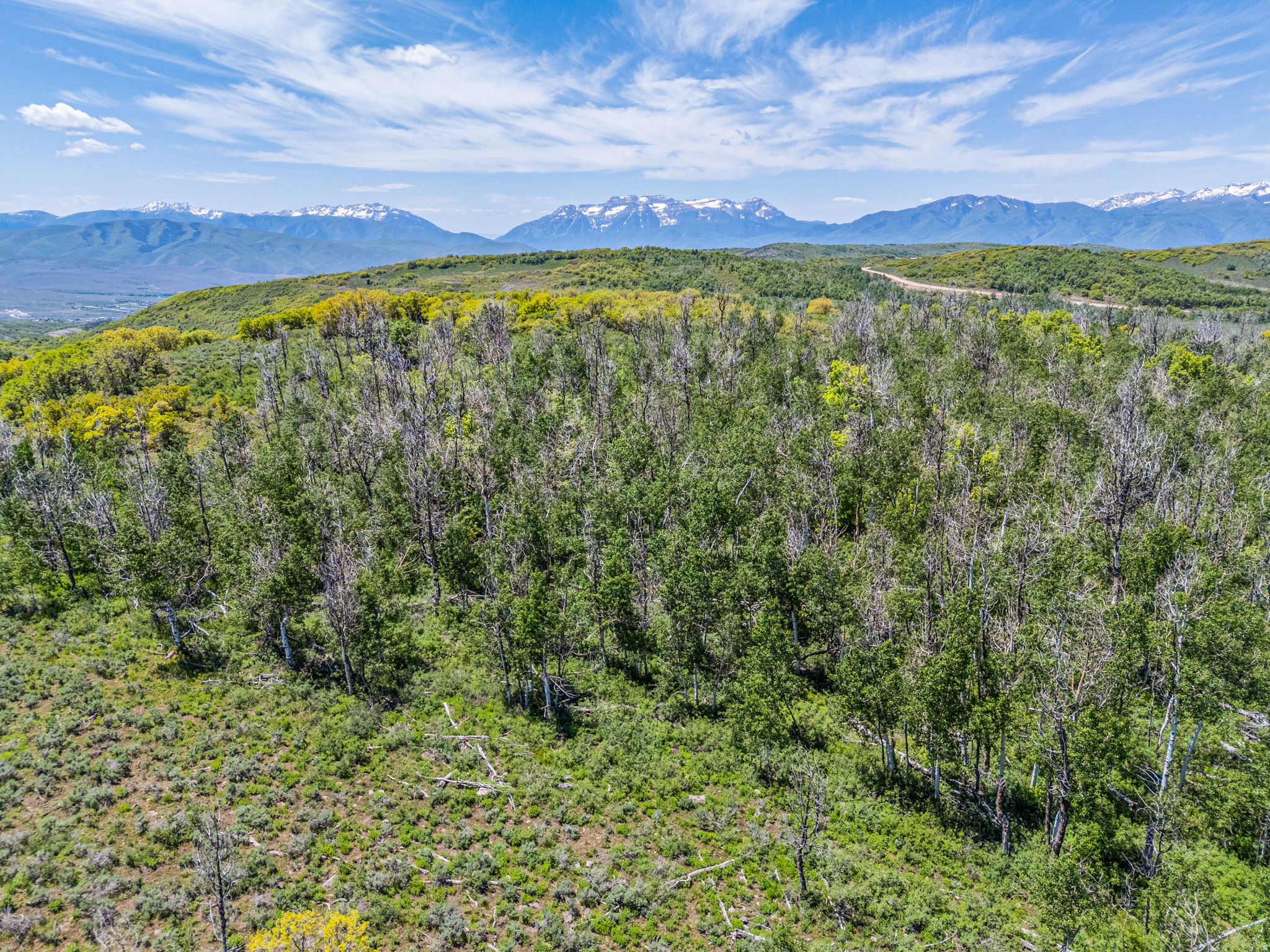 WOLF CREEK RANCH - Land