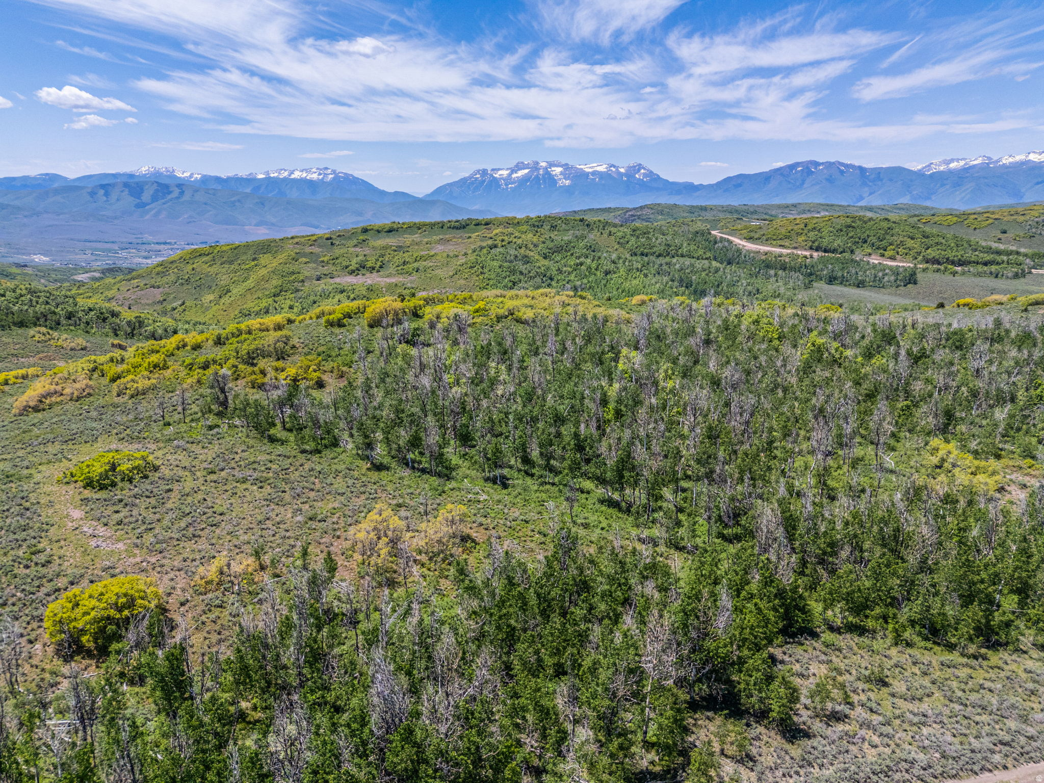 WOLF CREEK RANCH - Land