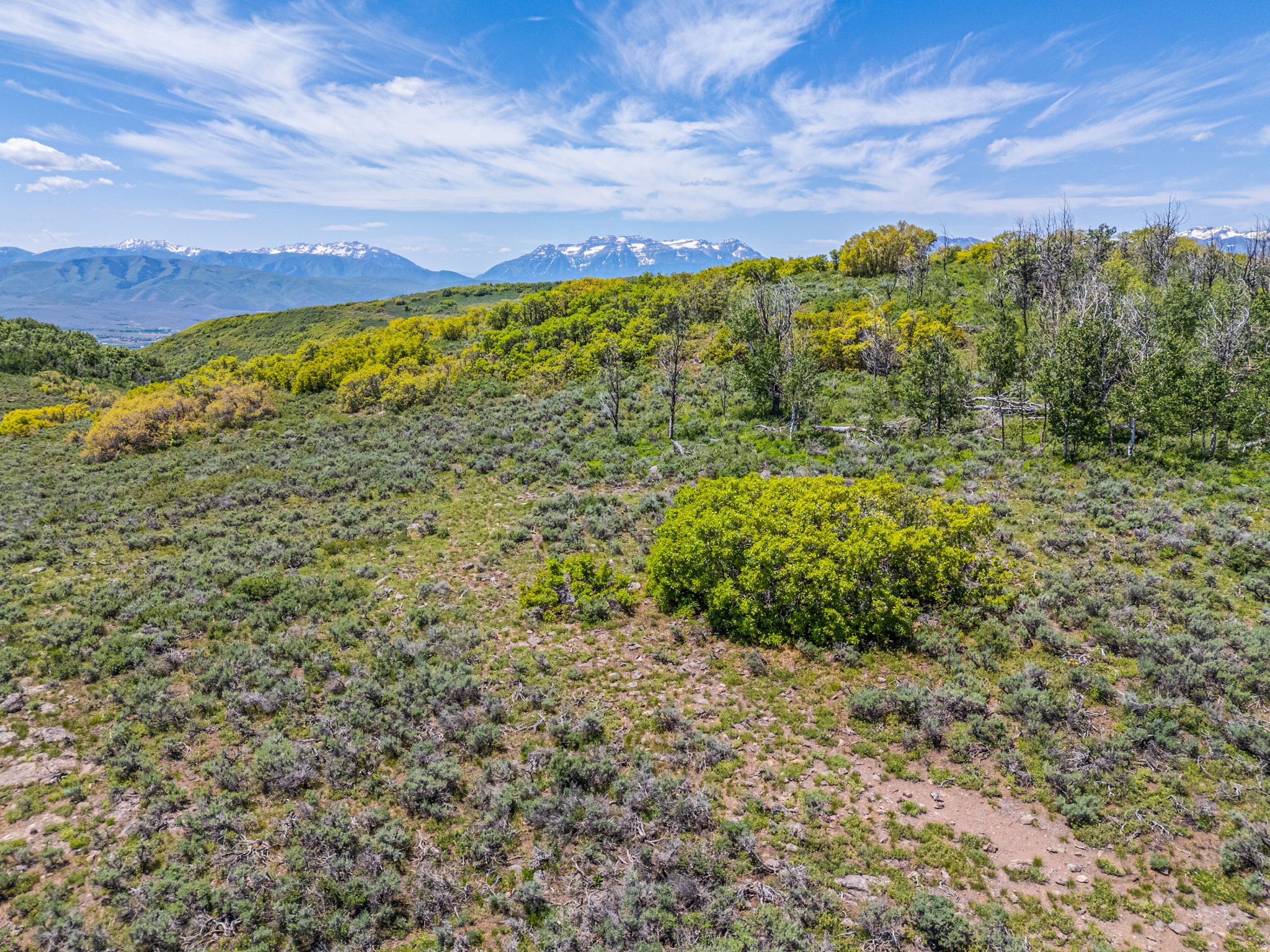 WOLF CREEK RANCH - Land