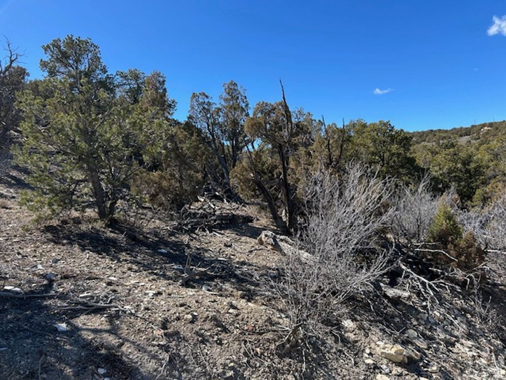 Photo of Fruitland, UT 84027 (MLS # 2142008)