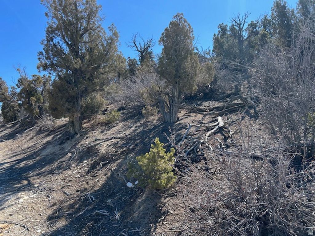 Photo of Fruitland, UT 84027 (MLS # 2142008)