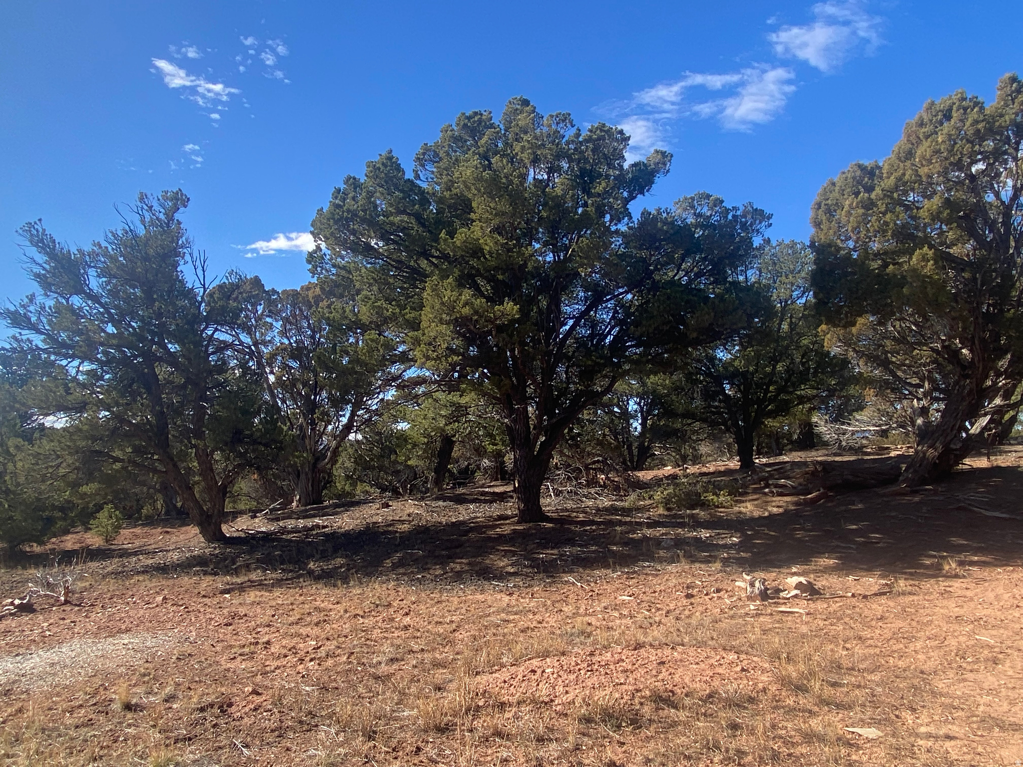 BANDANNA RANCH - Residential