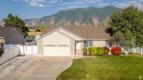 Tiny photo for 563 S 1850 E, Spanish Fork, UT 84660 (MLS # 2115756)