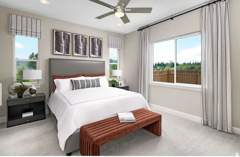 CANYON VIEW MEADOWS - Residential