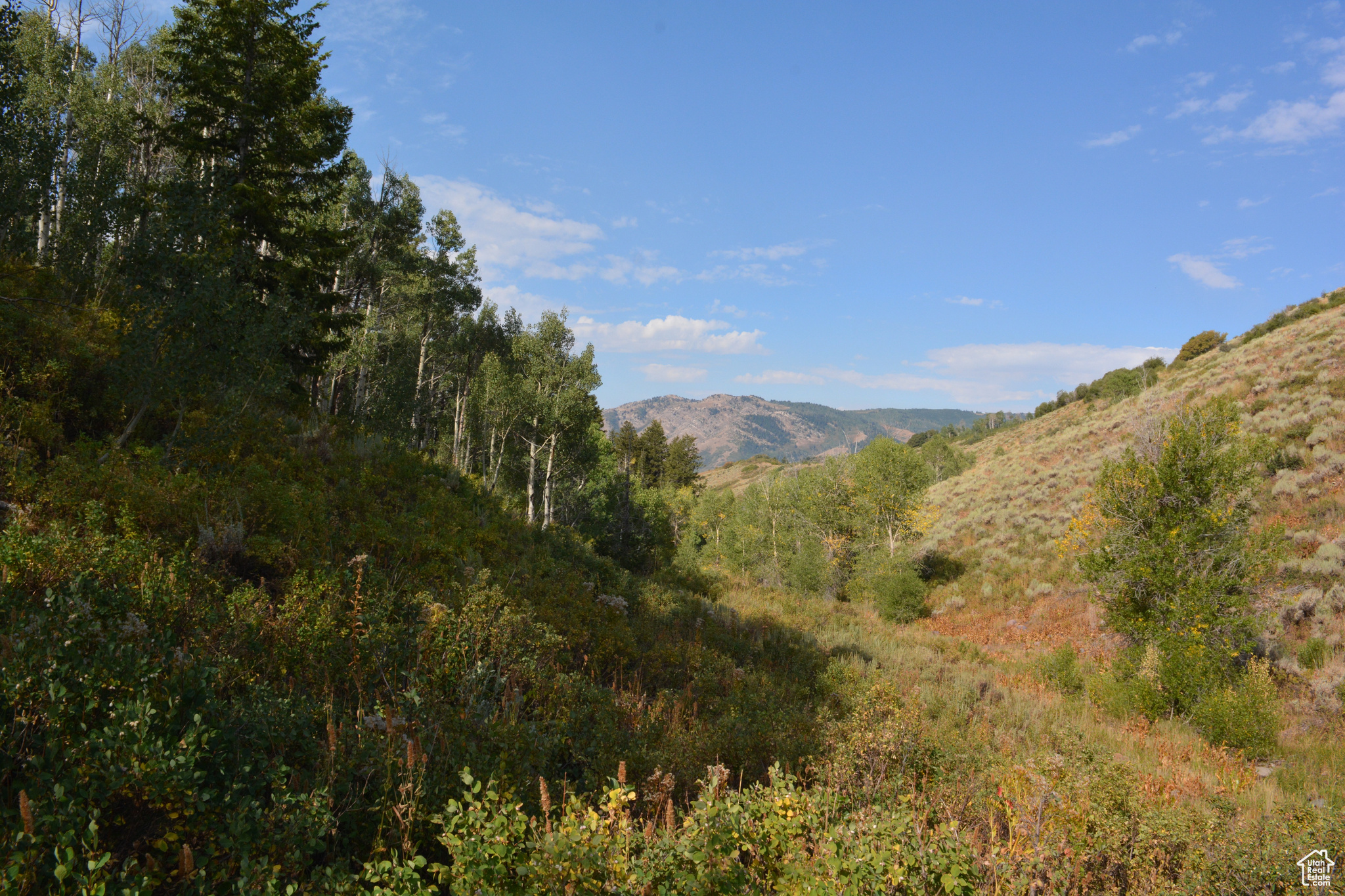 Land, Huntsville, Utah image 11