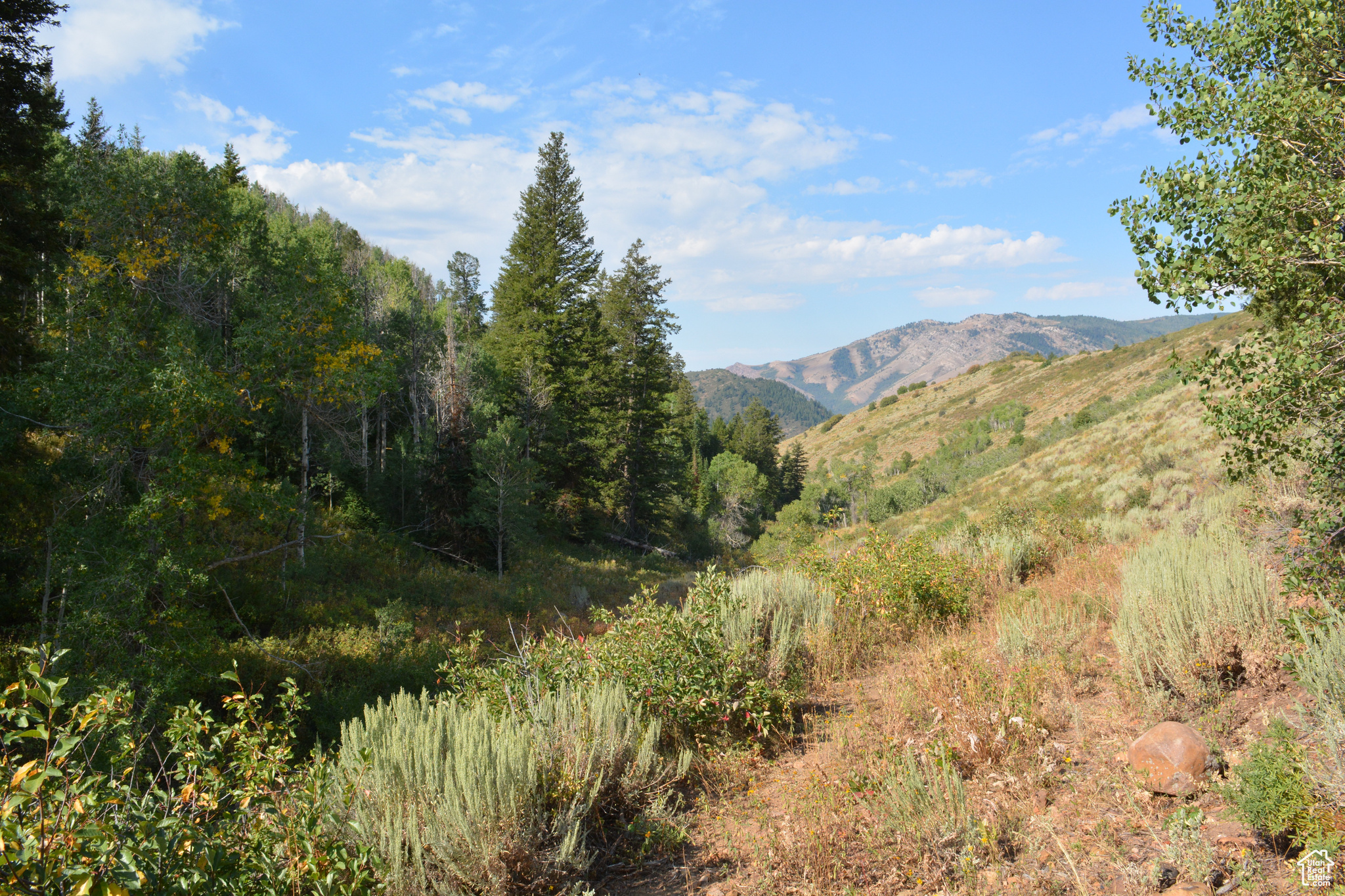 Land, Huntsville, Utah image 12