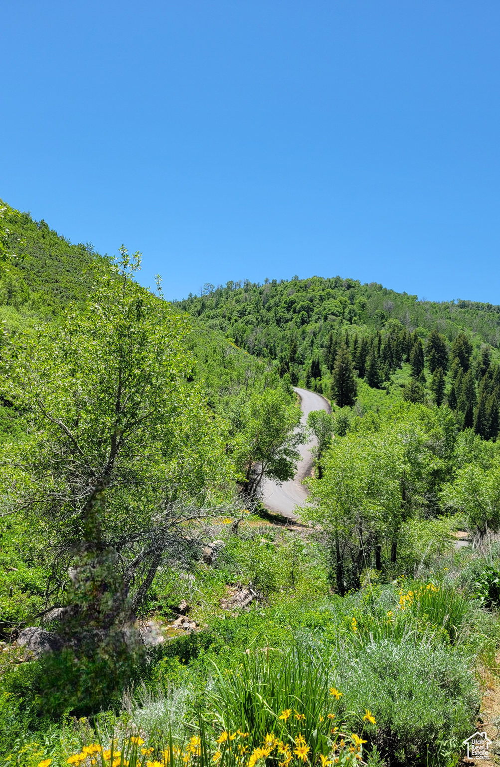 Land, Huntsville, Utah image 4