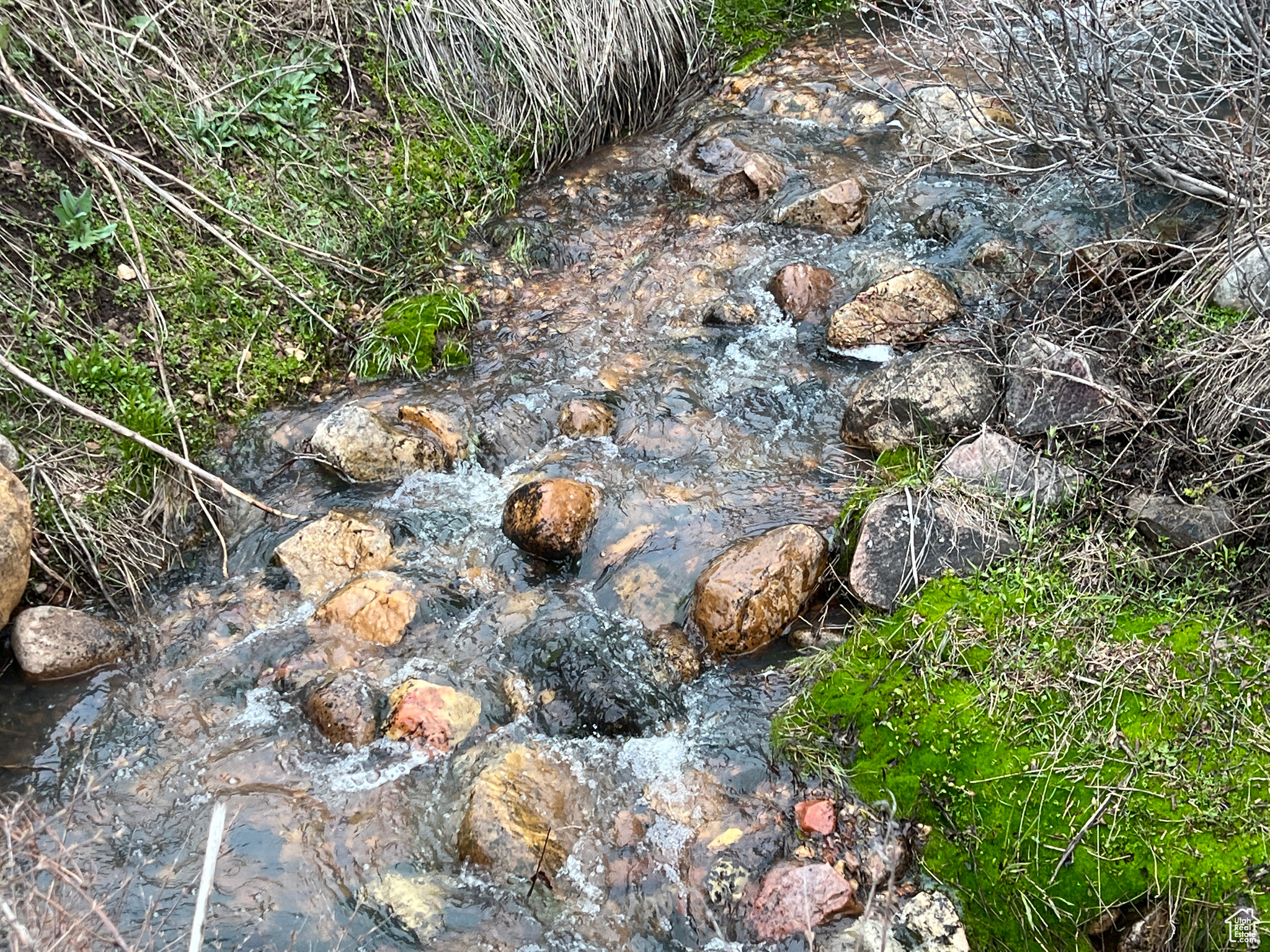 Land, Huntsville, Utah image 20
