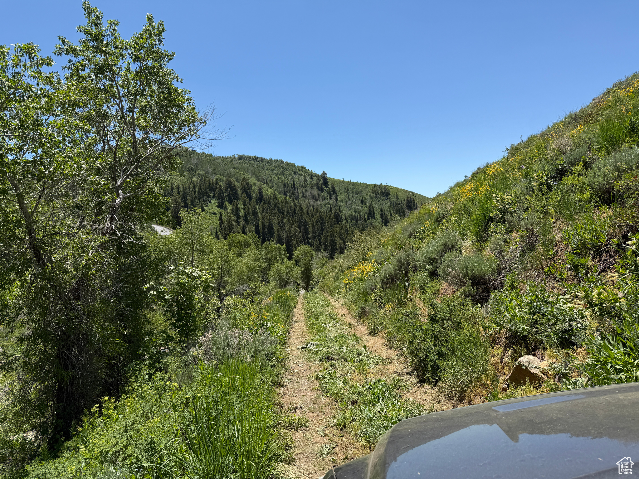 Land, Huntsville, Utah image 24