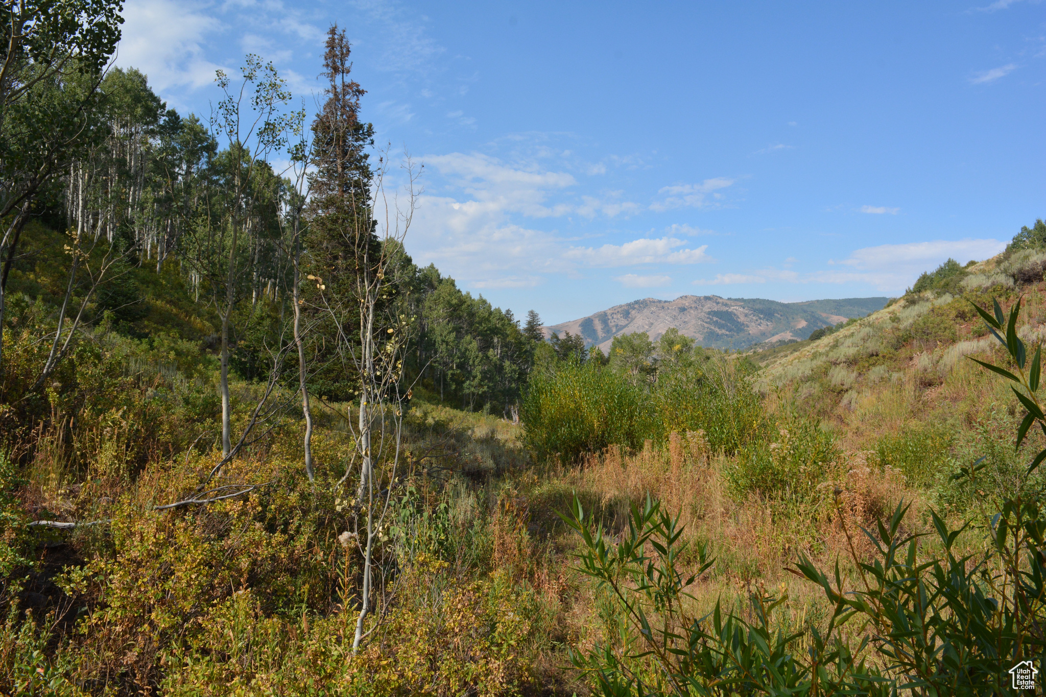 Land, Huntsville, Utah image 15
