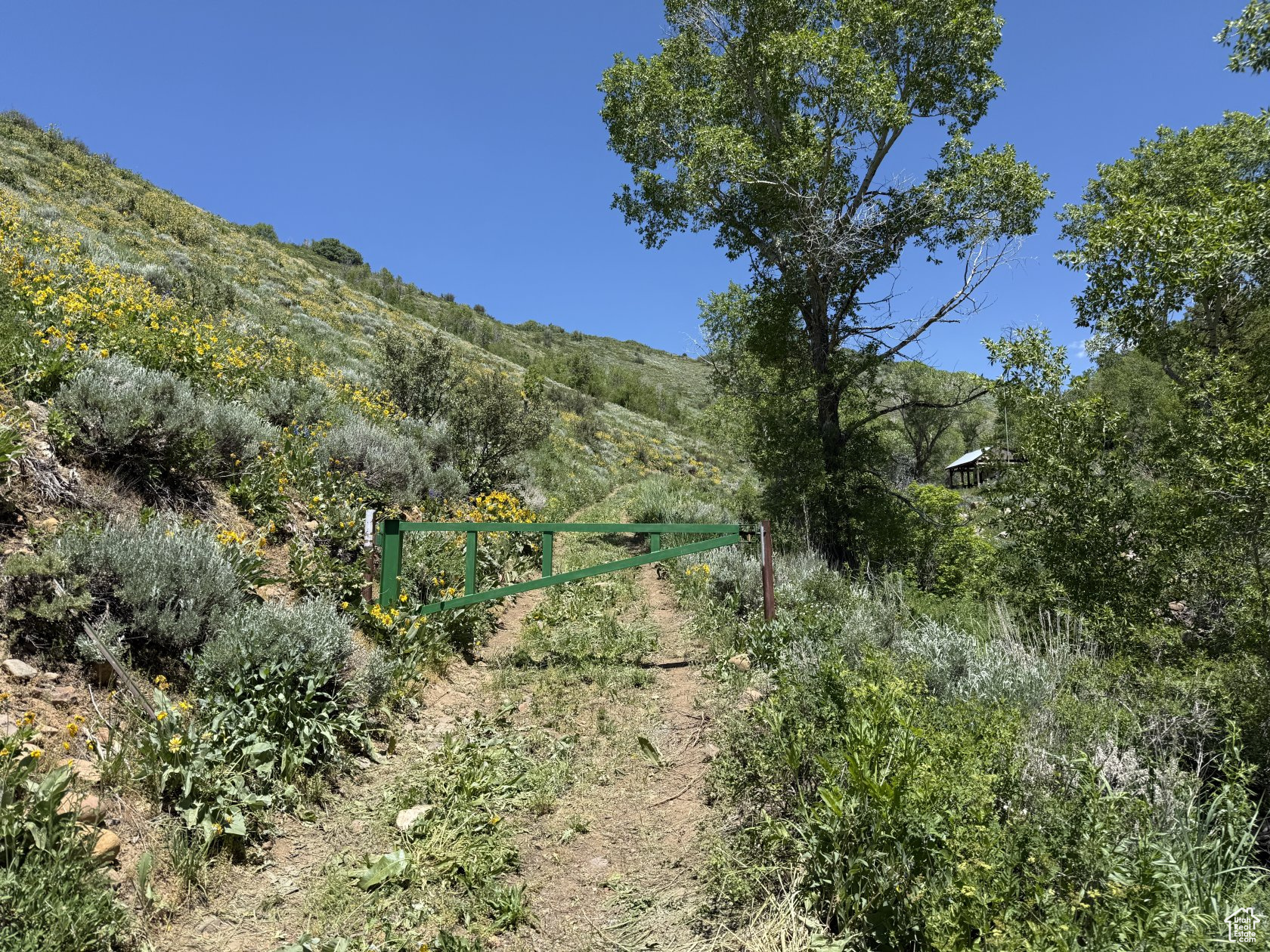Land, Huntsville, Utah image 3