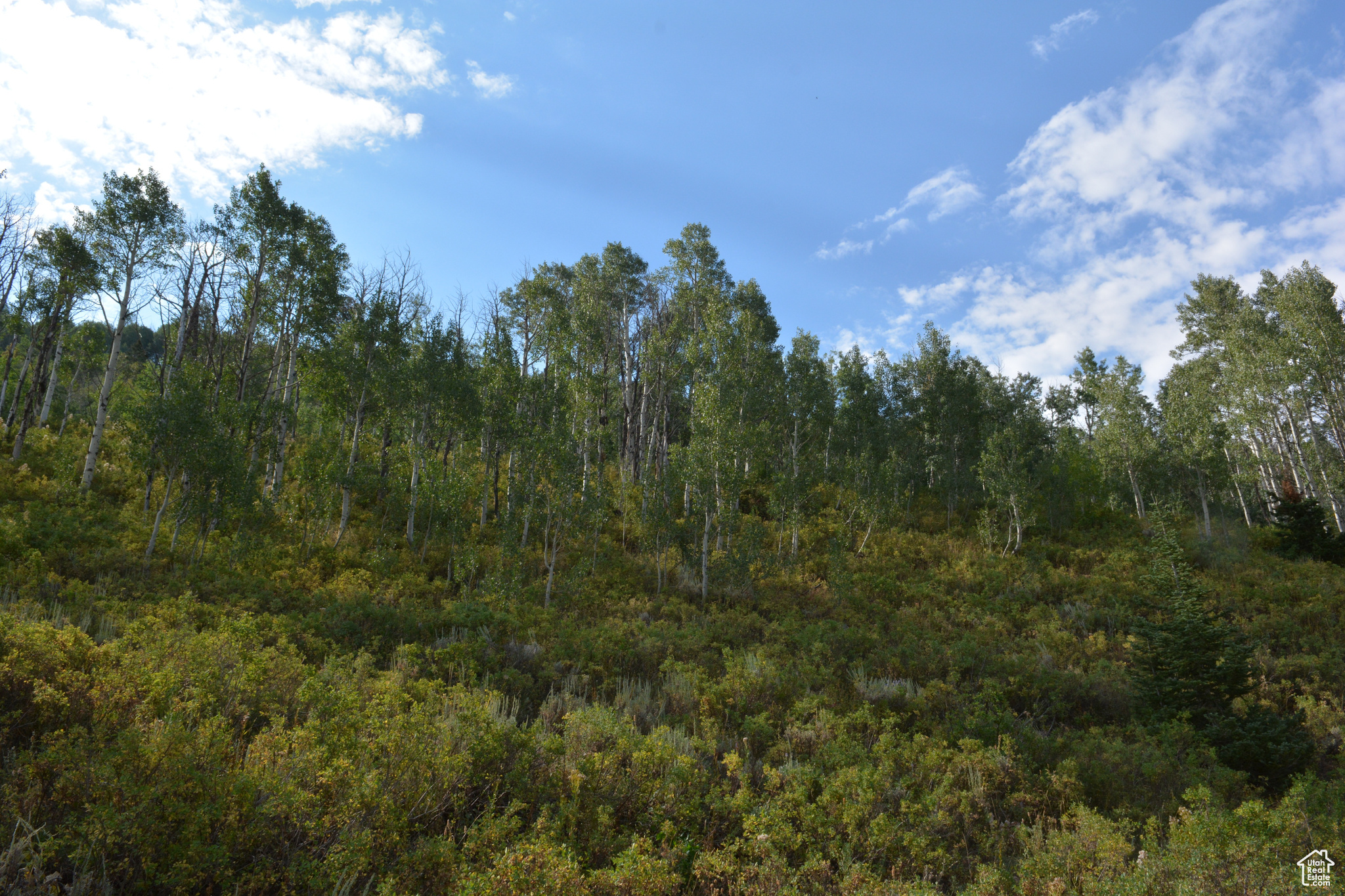 Land, Huntsville, Utah image 18