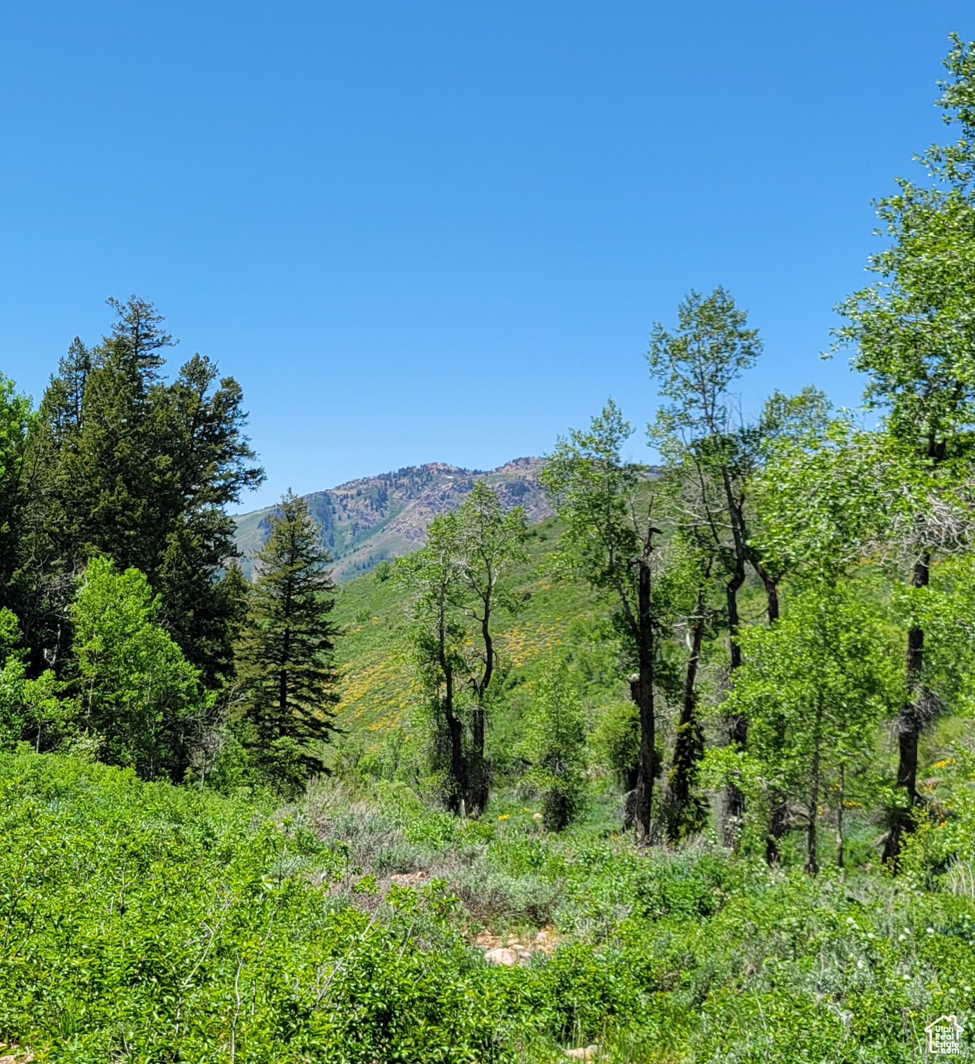 Land, Huntsville, Utah image 2