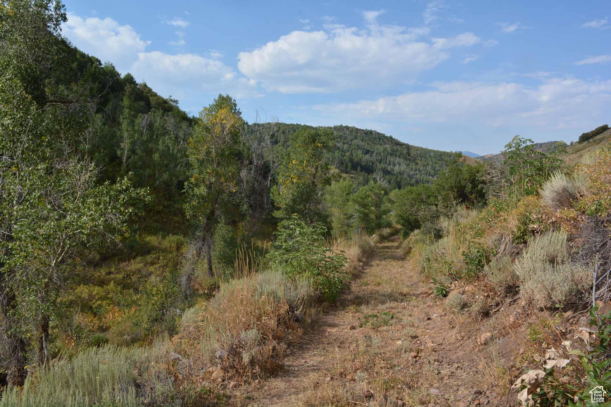 Land, Huntsville, Utah image 6