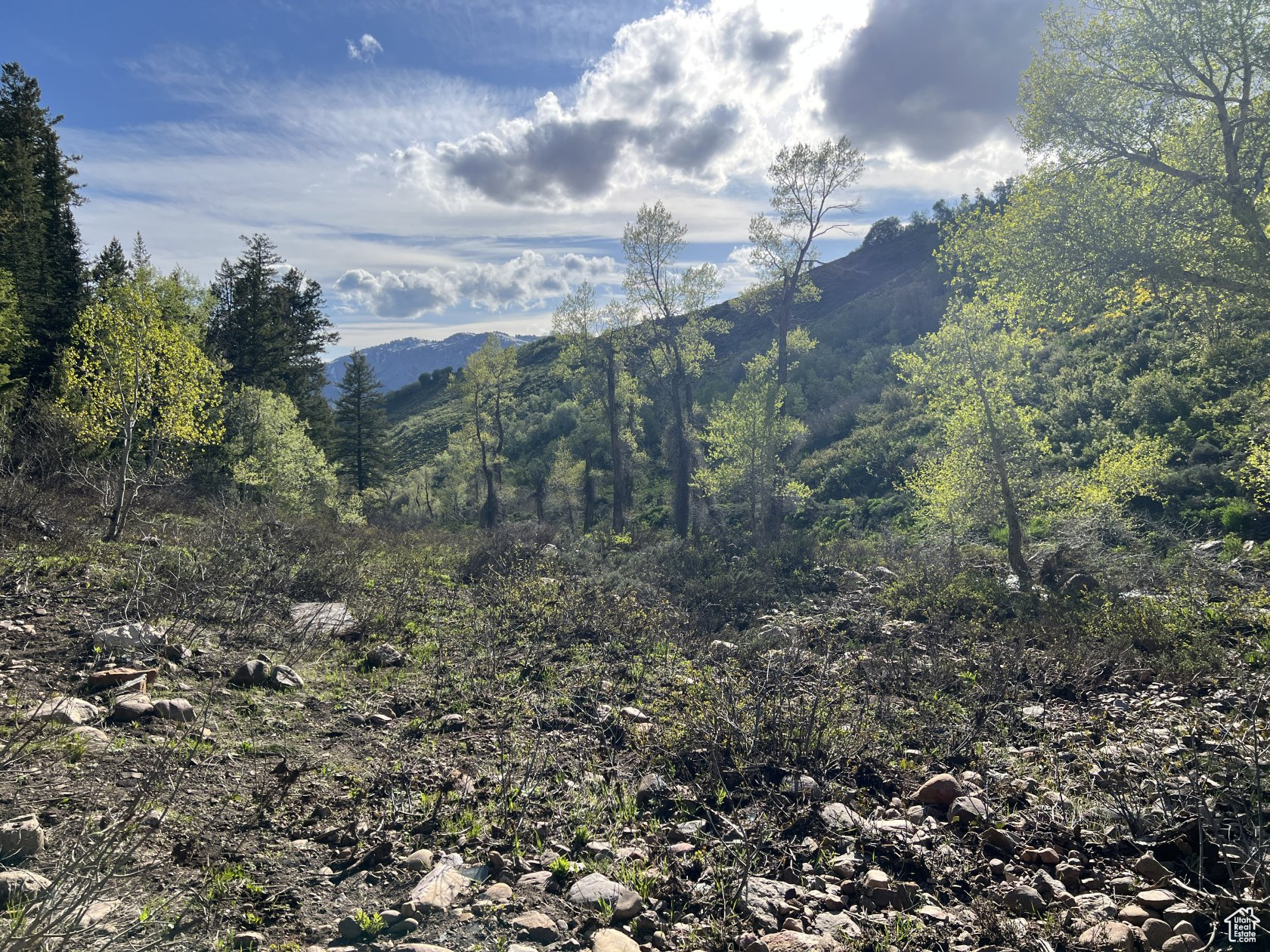 Land, Huntsville, Utah image 27