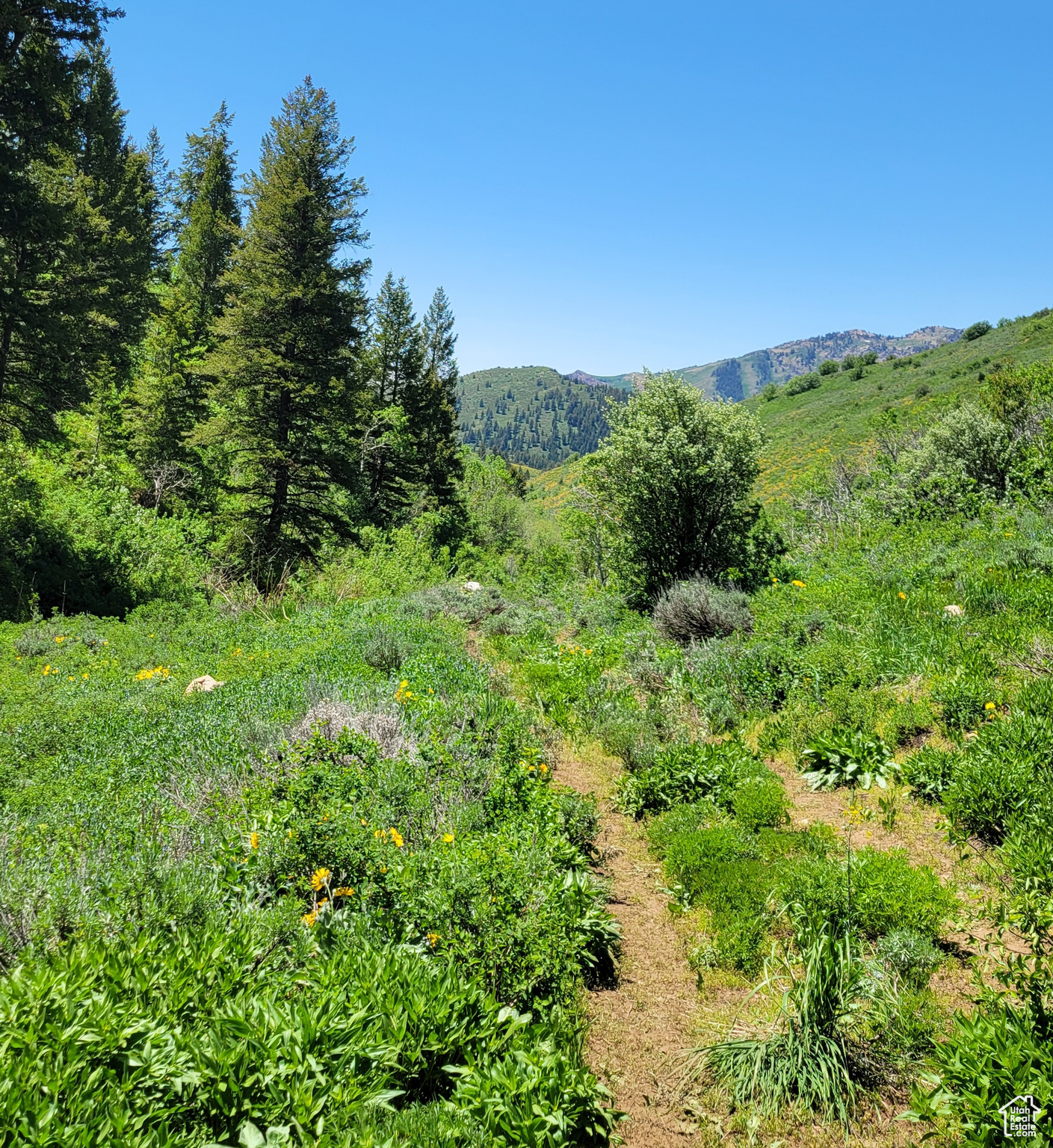 Land, Huntsville, Utah image 29