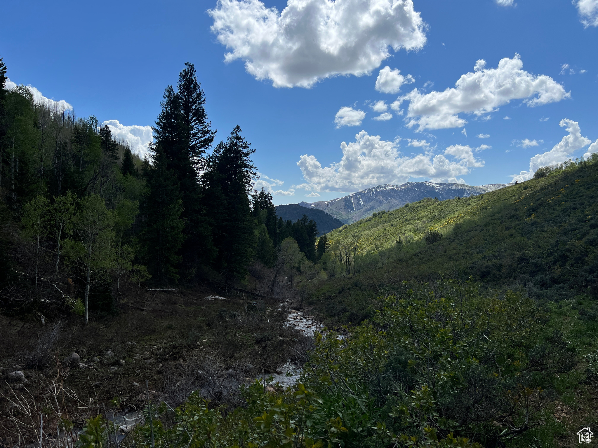 Land, Huntsville, Utah image 25