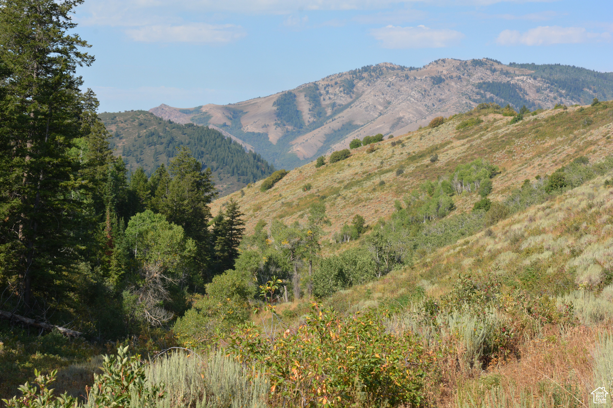 Land, Huntsville, Utah image 19
