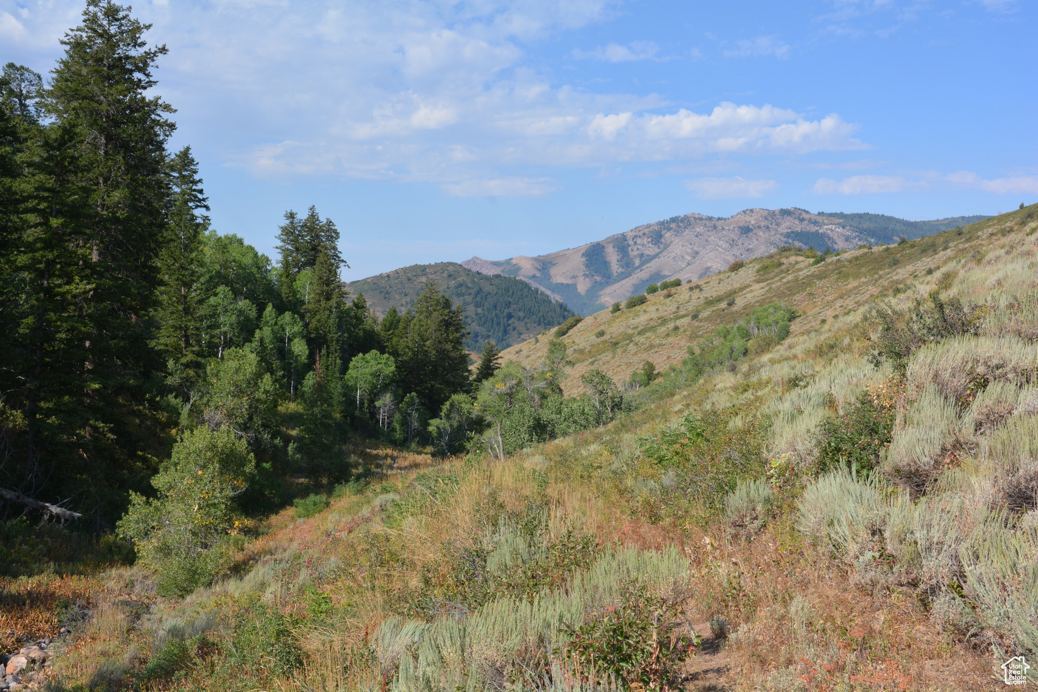 Land, Huntsville, Utah image 1